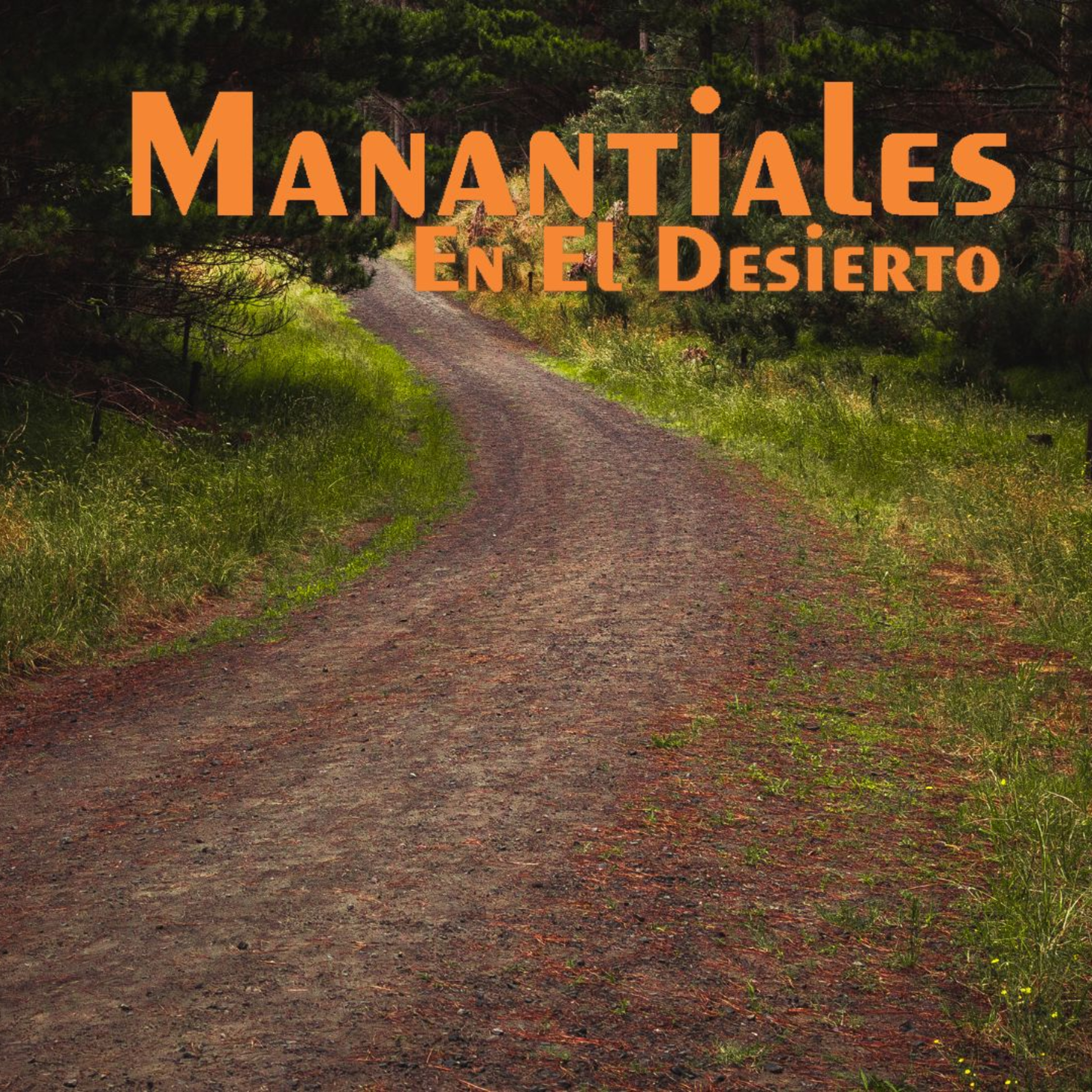 Manantiales en el Desierto - 19 de Mayo