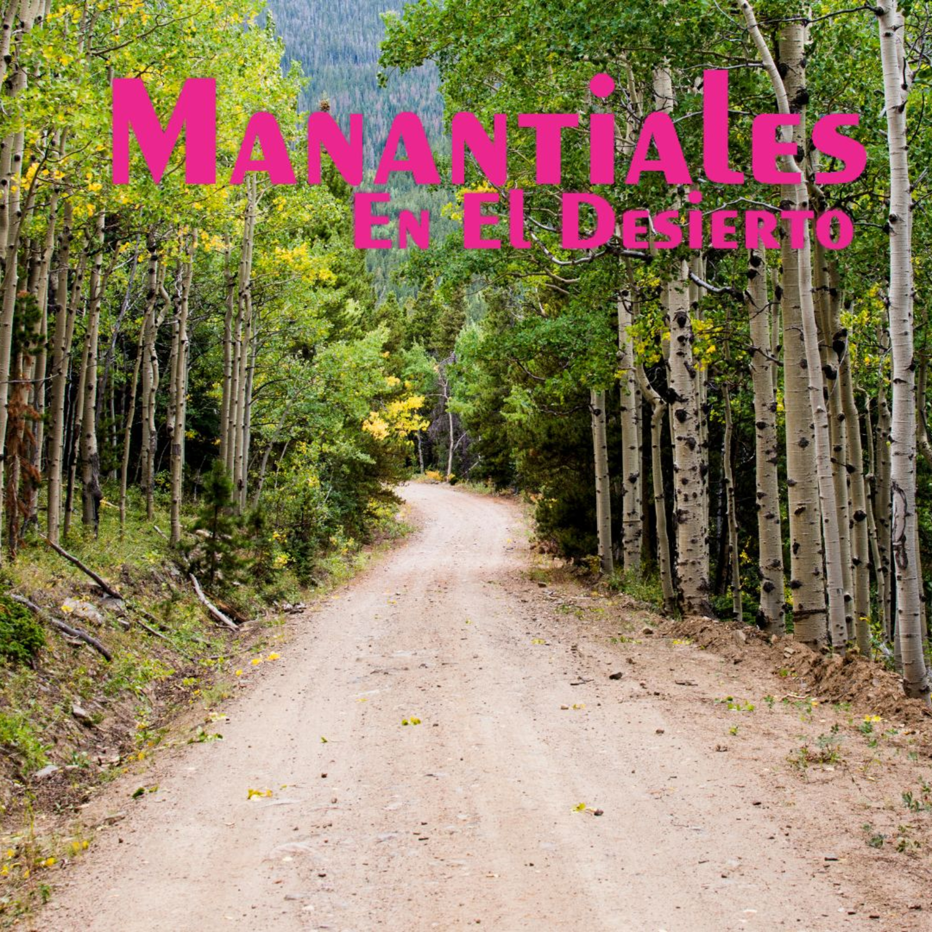 Manantiales en el Desierto - 20 de Mayo