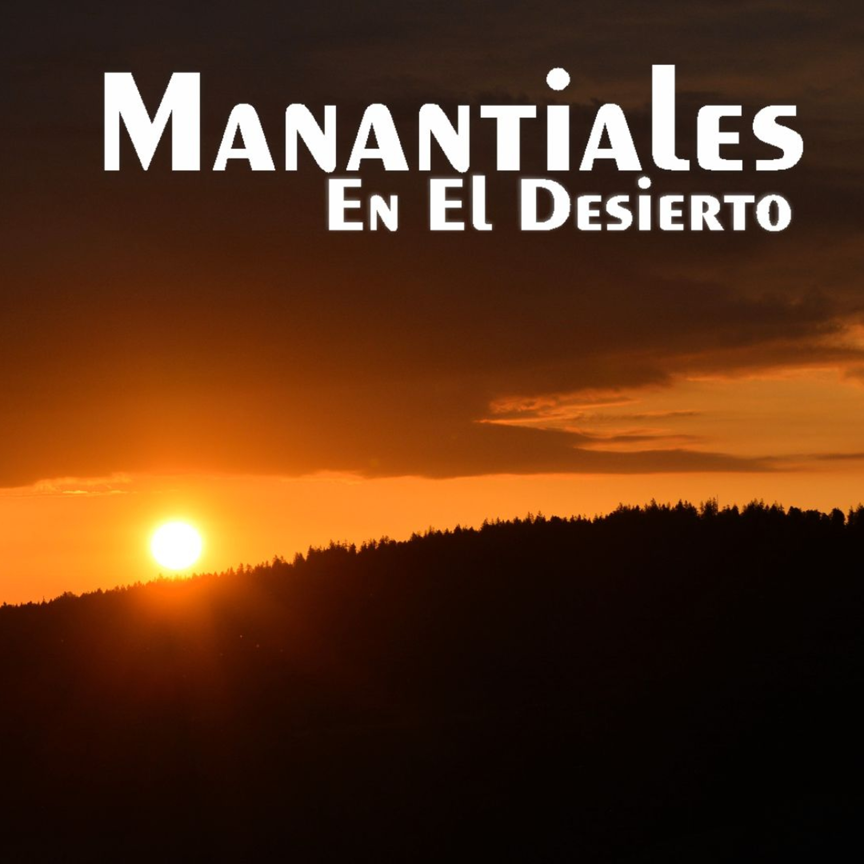 Manantiales en el Desierto - 24 de Mayo