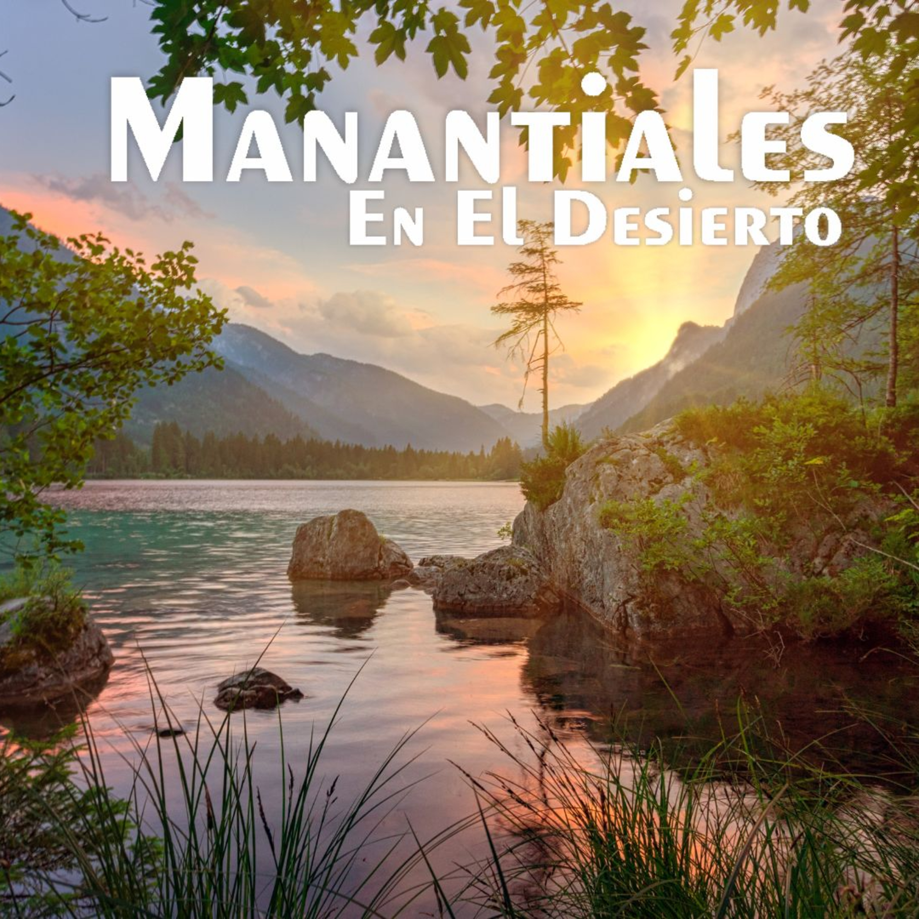 Manantiales en el Desierto - 26 de Mayo