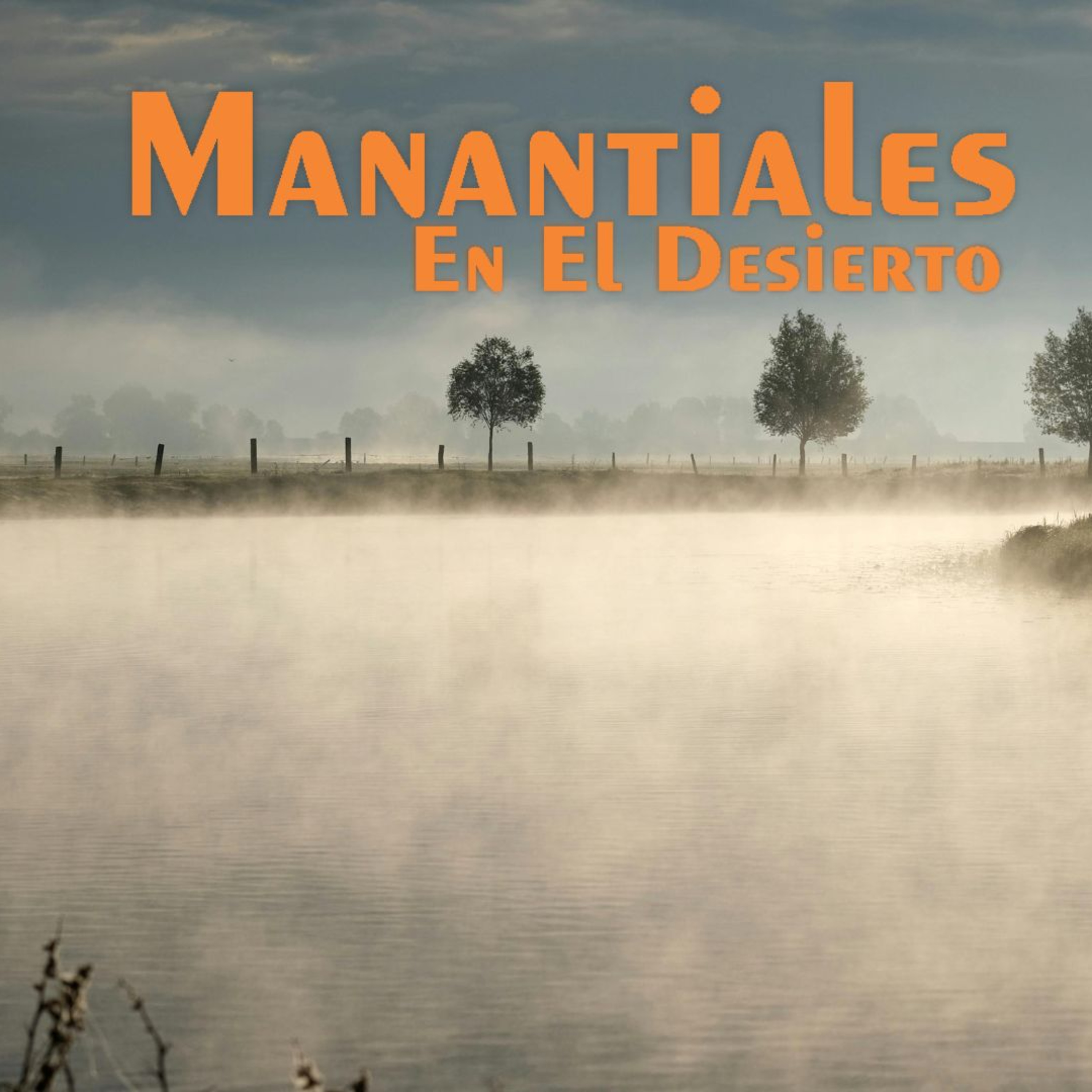 Manantiales en el Desierto - 30 de Mayo