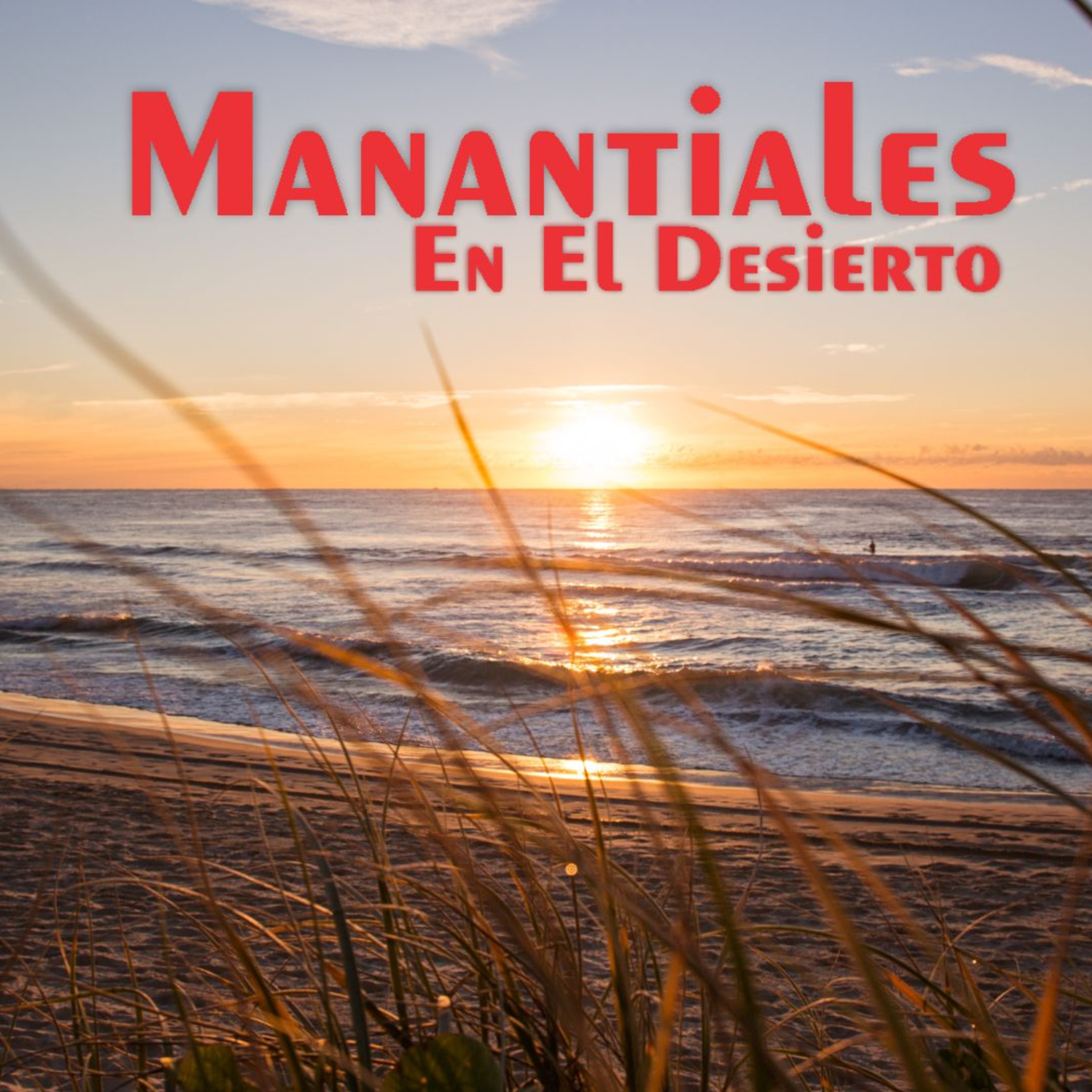 Manantiales en el Desierto - 2 de Junio.