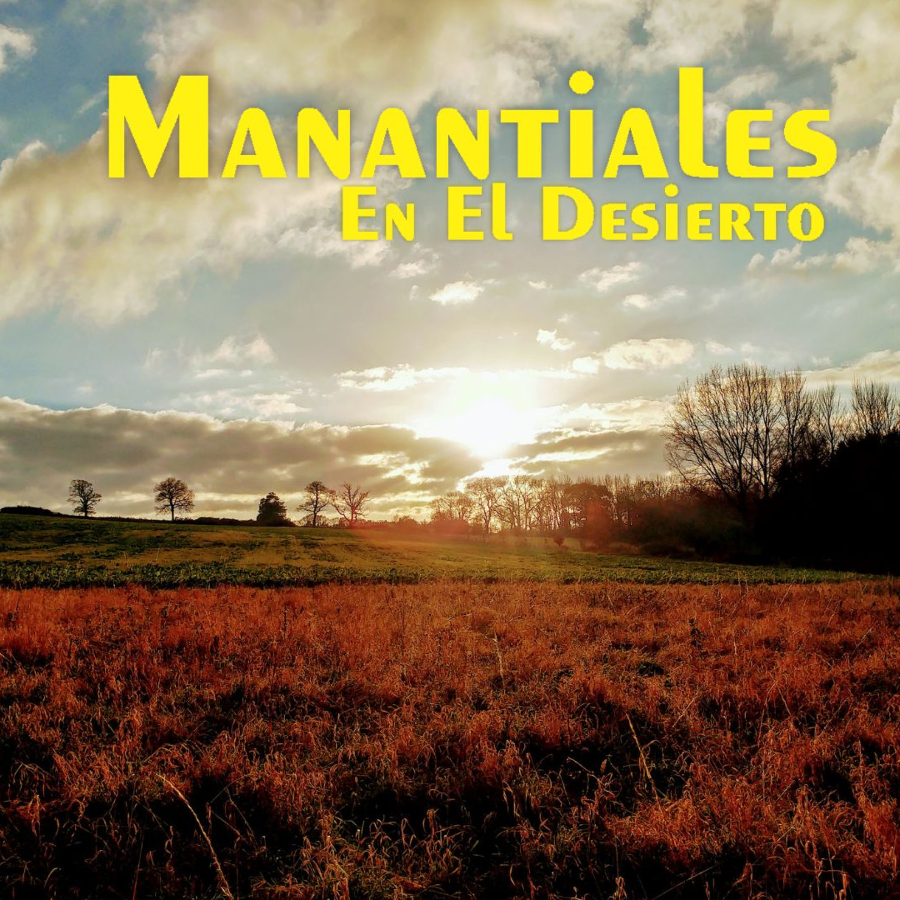 Manantiales en el Desierto - 3 de Junio