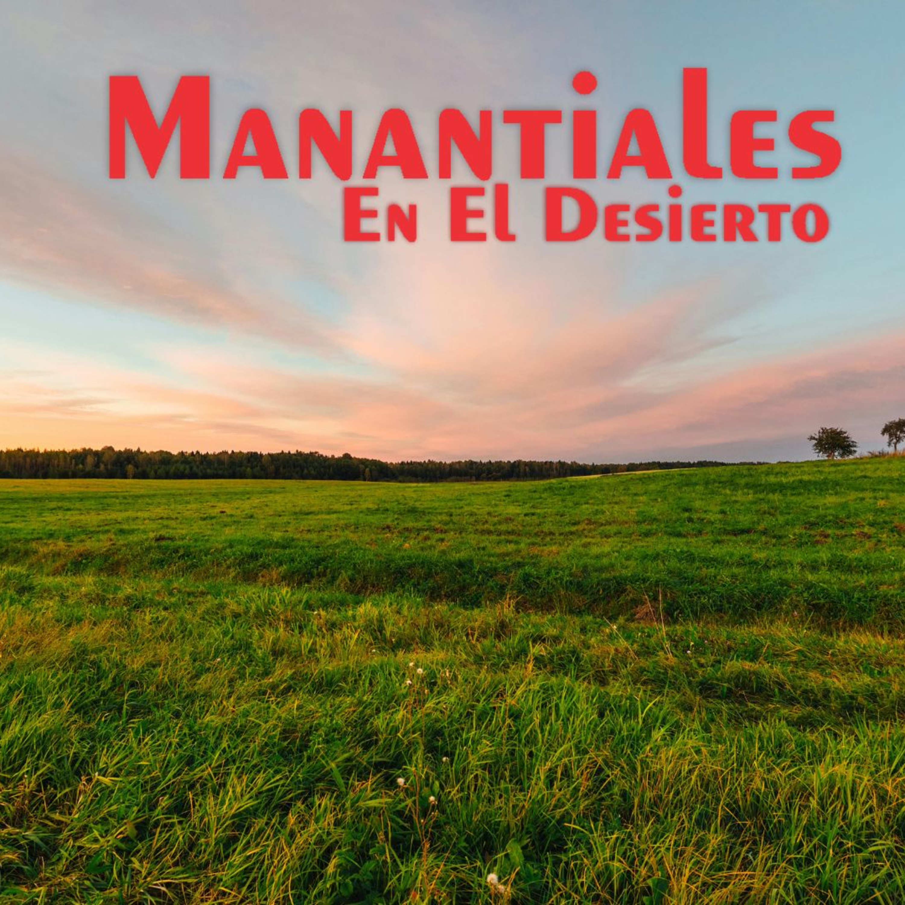 Manantiales en el Desierto - 10 de Junio