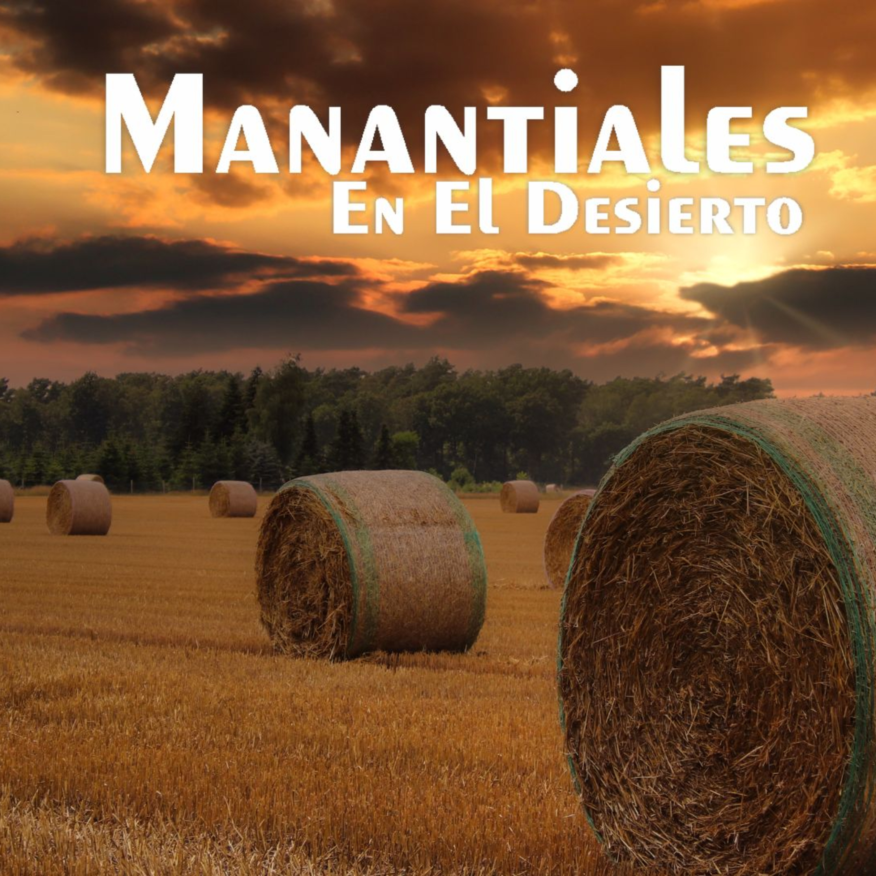Manantiales en el Desierto - 11 de Junio
