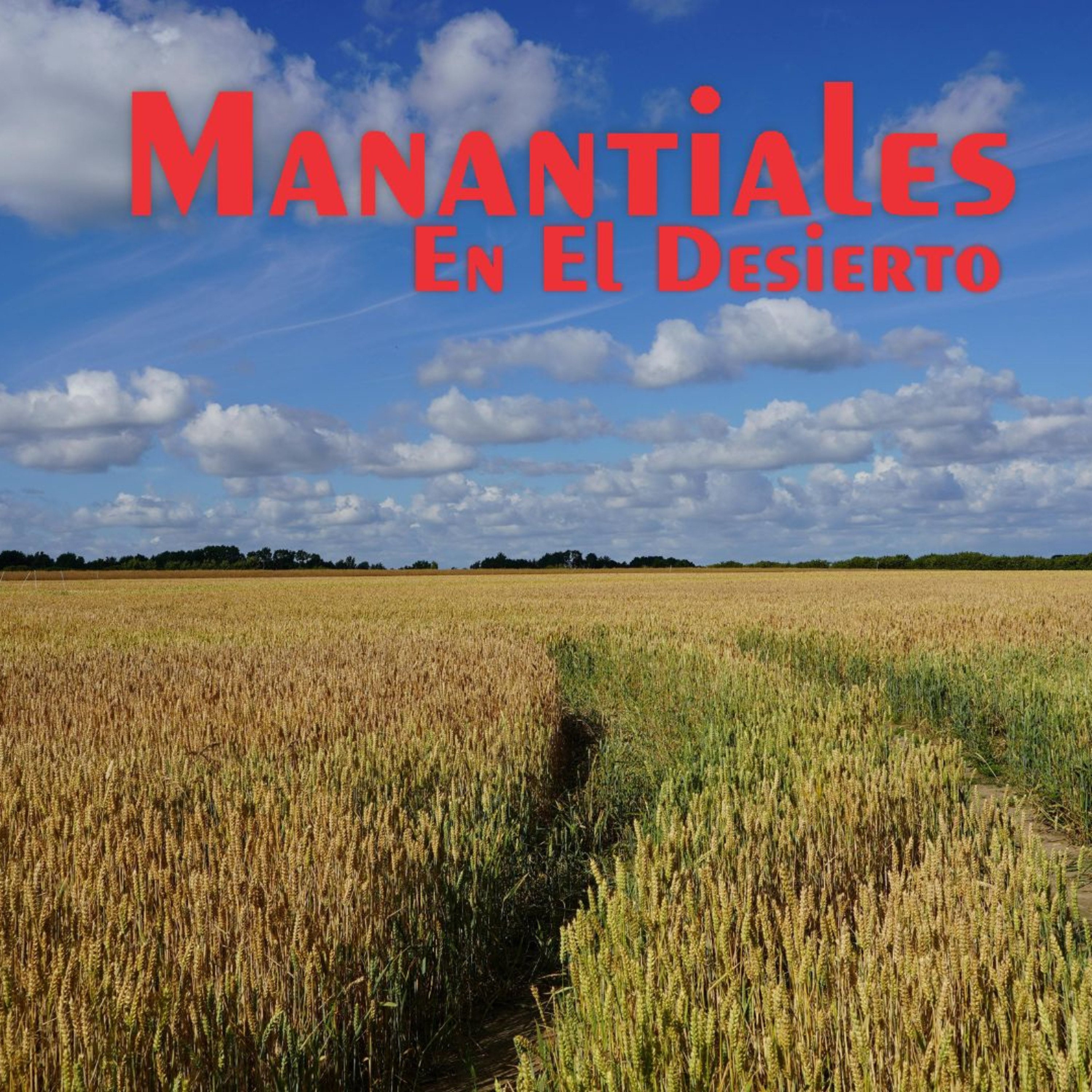 Manantiales en el Desierto - 12 de Junio