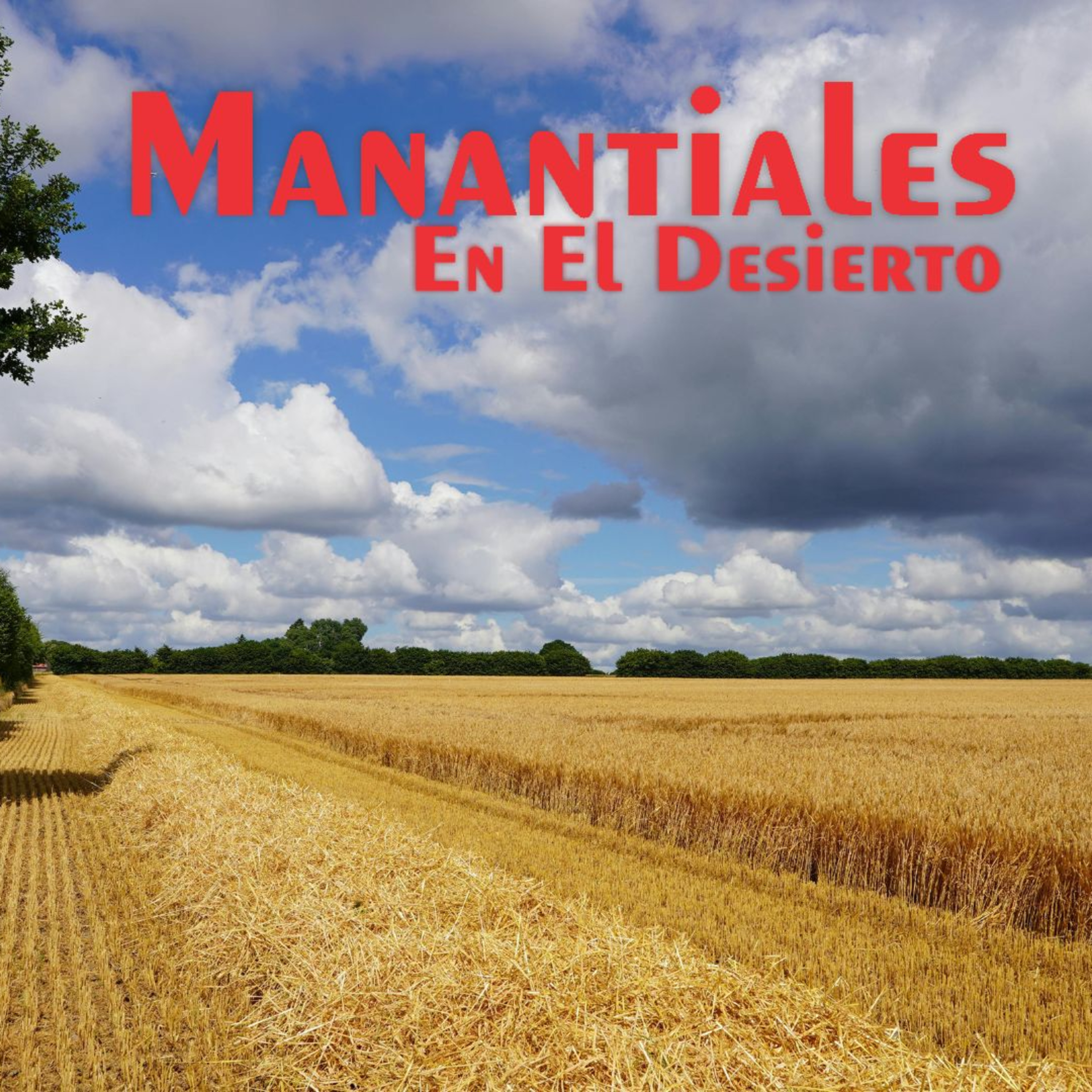 Manantiales en el Desierto - 13 de Junio