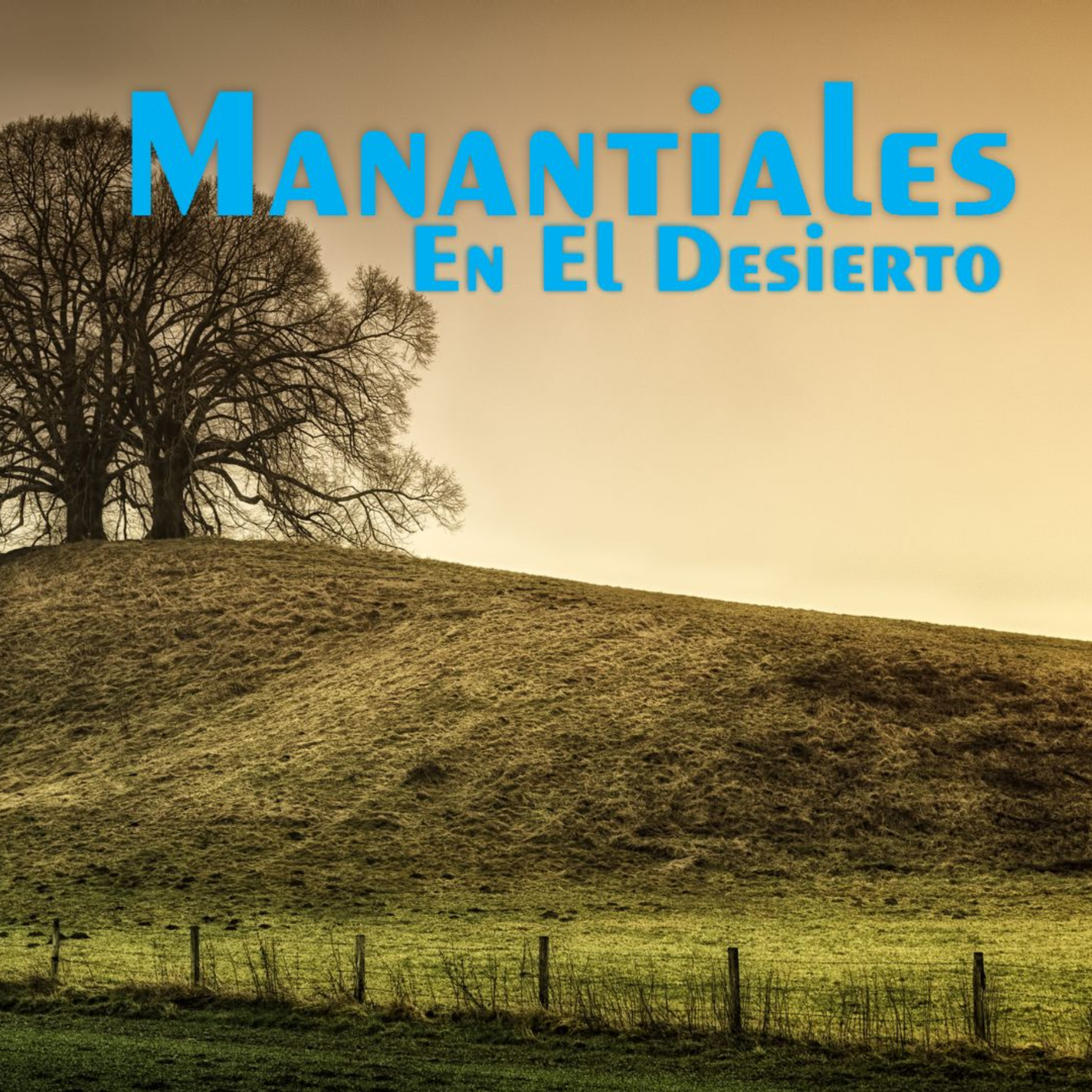 Manantiales en el Desierto - 15 de Junio