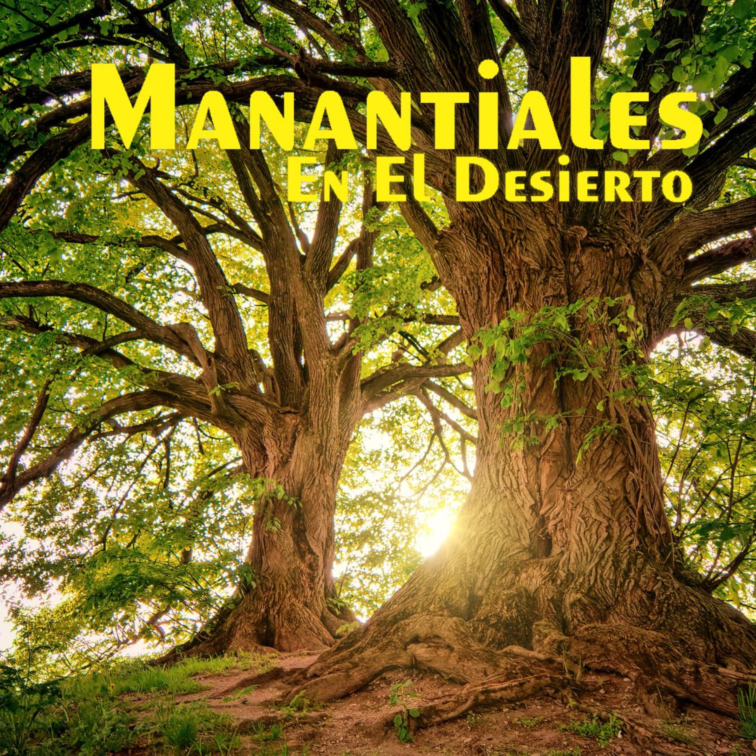 Manantiales en el Desierto - 16 de Junio.