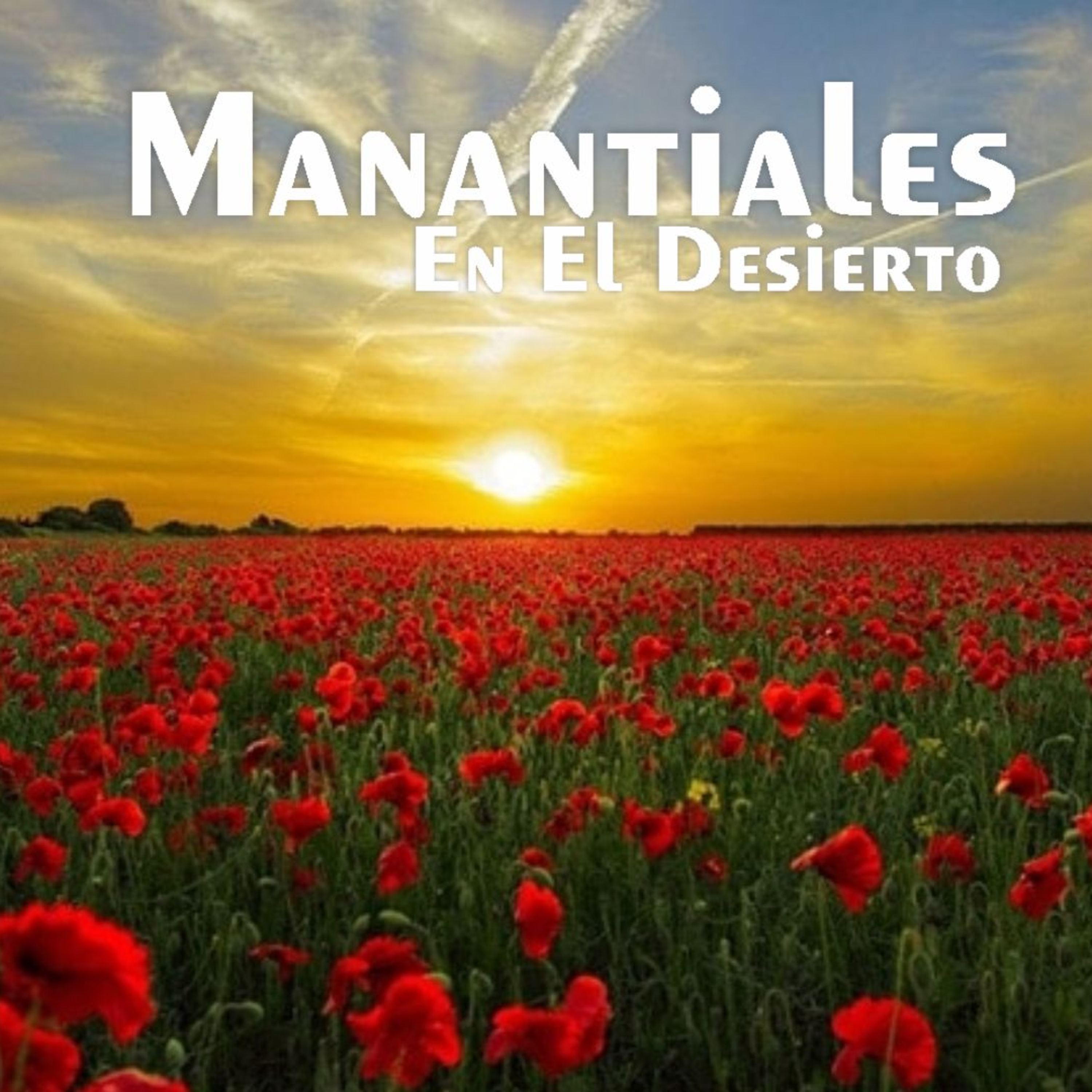 Manantiales en el Desierto - 19 de Junio