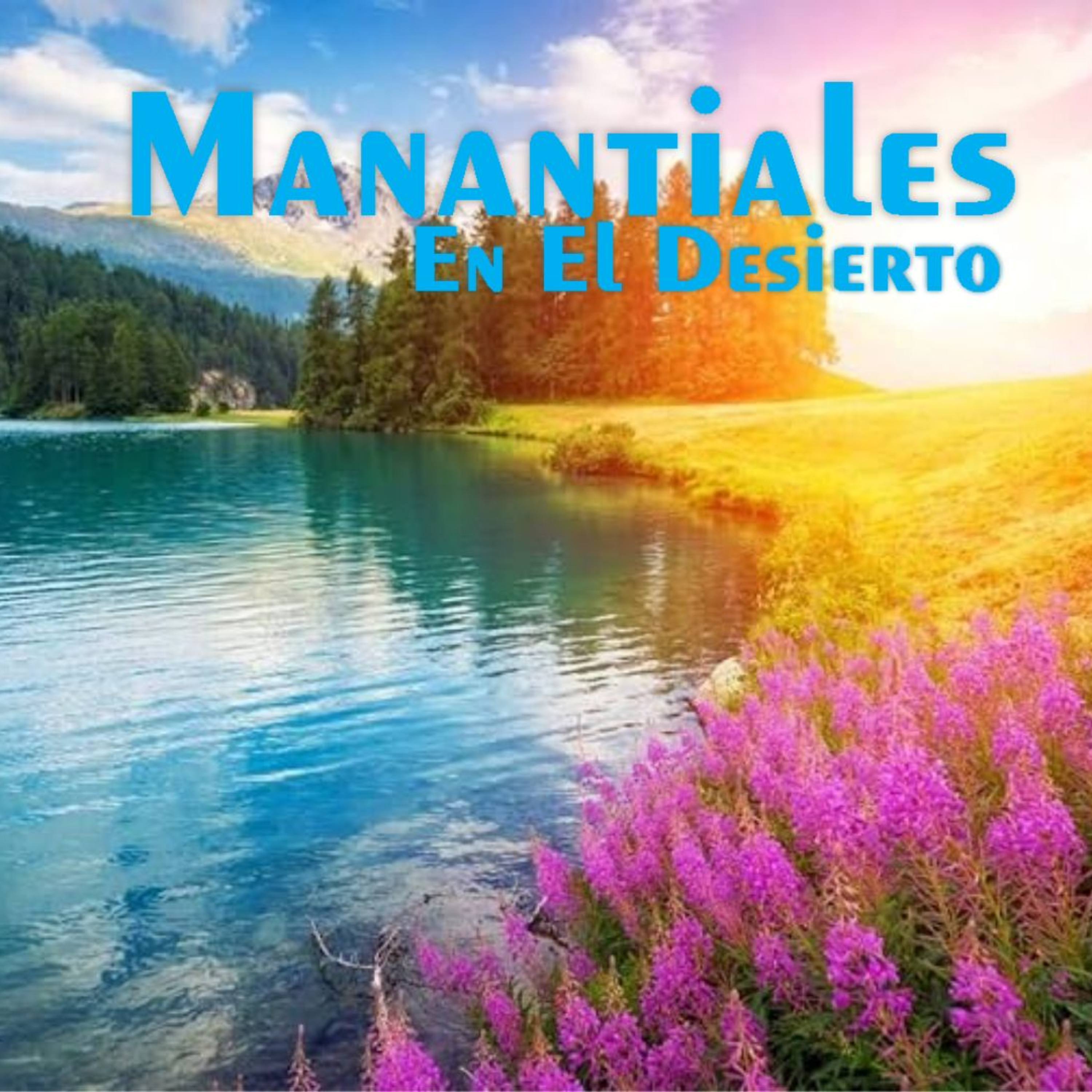 Manantiales en el Desierto - 22 de Junio