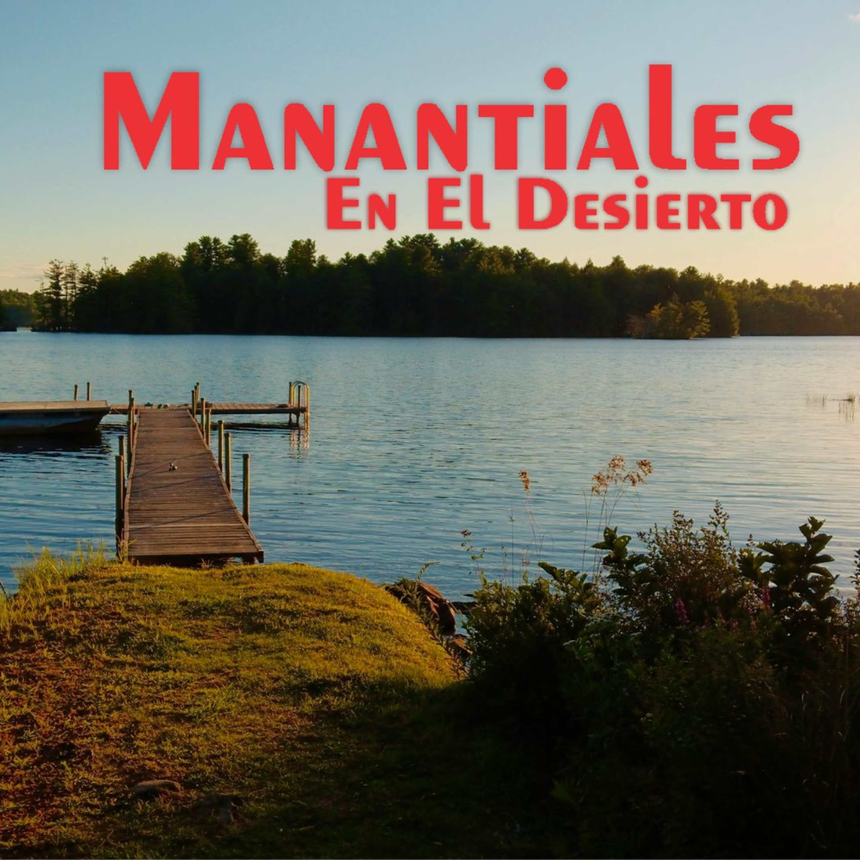Manantiales en el Desierto - 23 de Junio