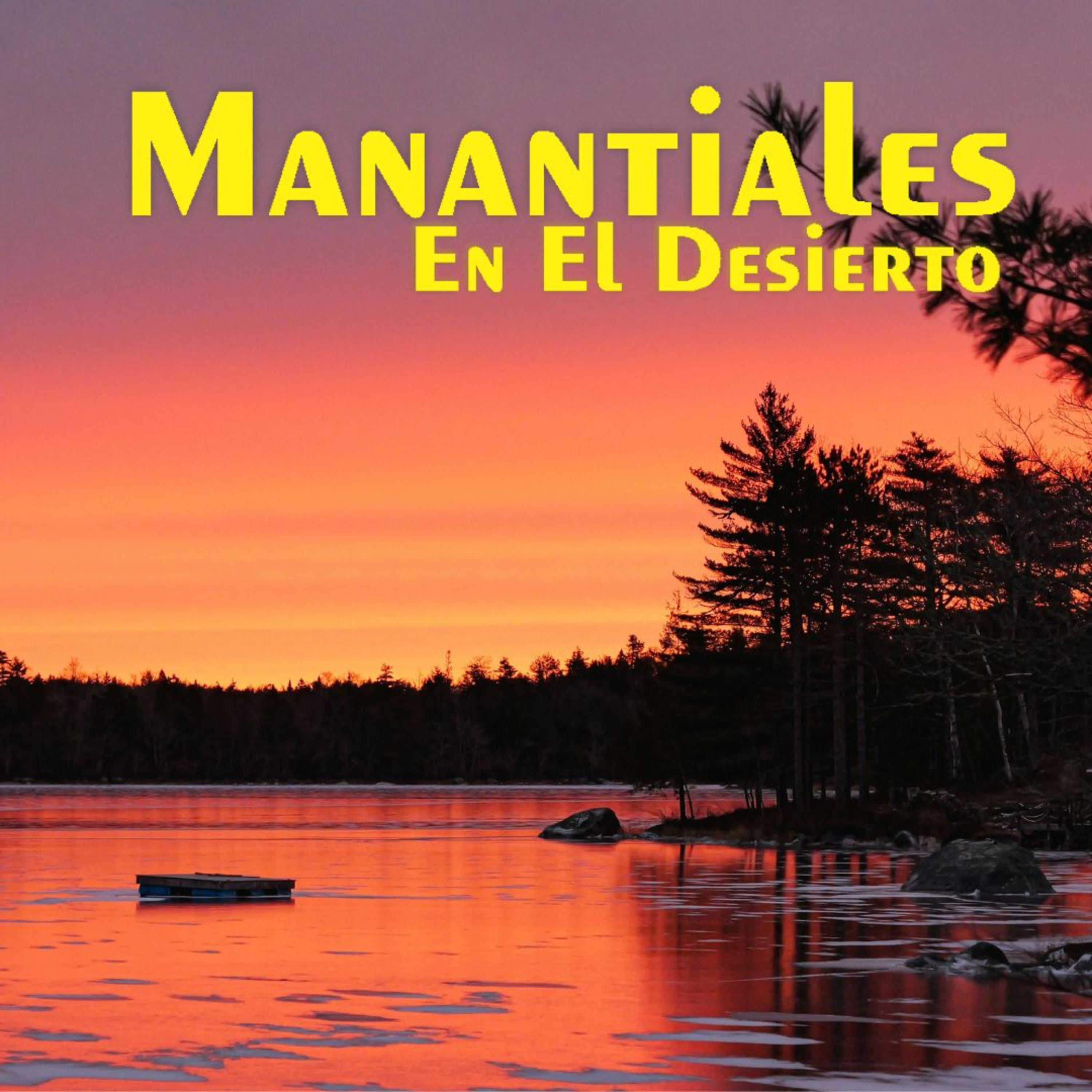 Manantiales en el Desierto - 24 de Junio