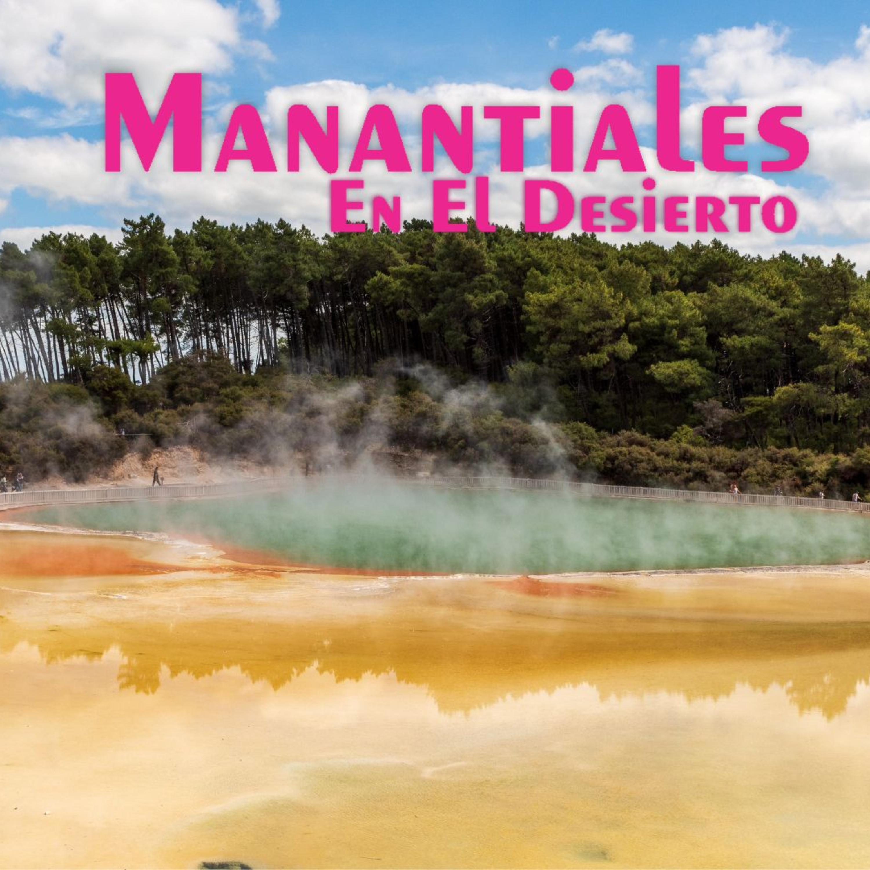Manantiales en el Desierto - 1 de Julio