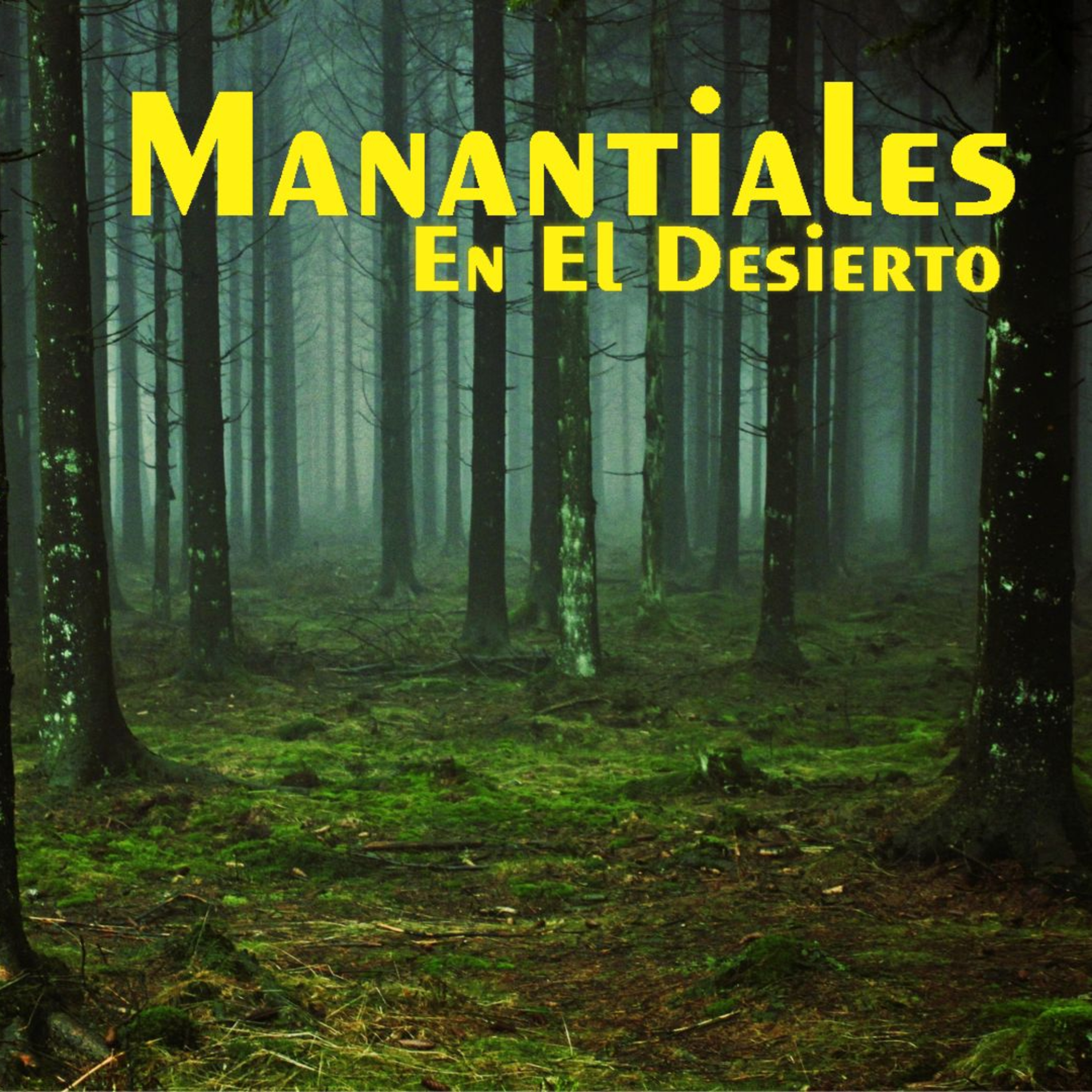 Manantiales en el Desierto - 2 de Julio