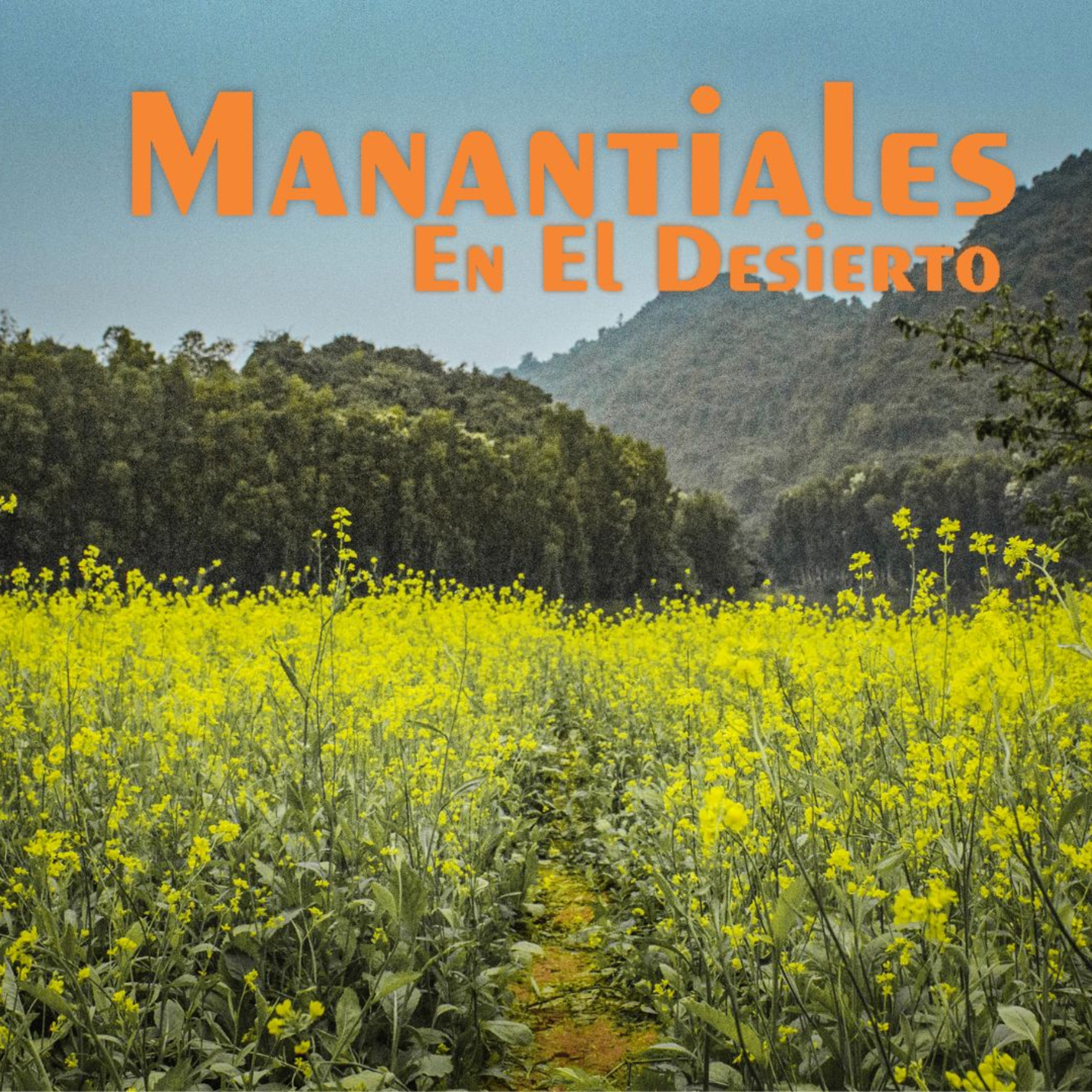 Manantiales en el Desierto - 3 de Julio