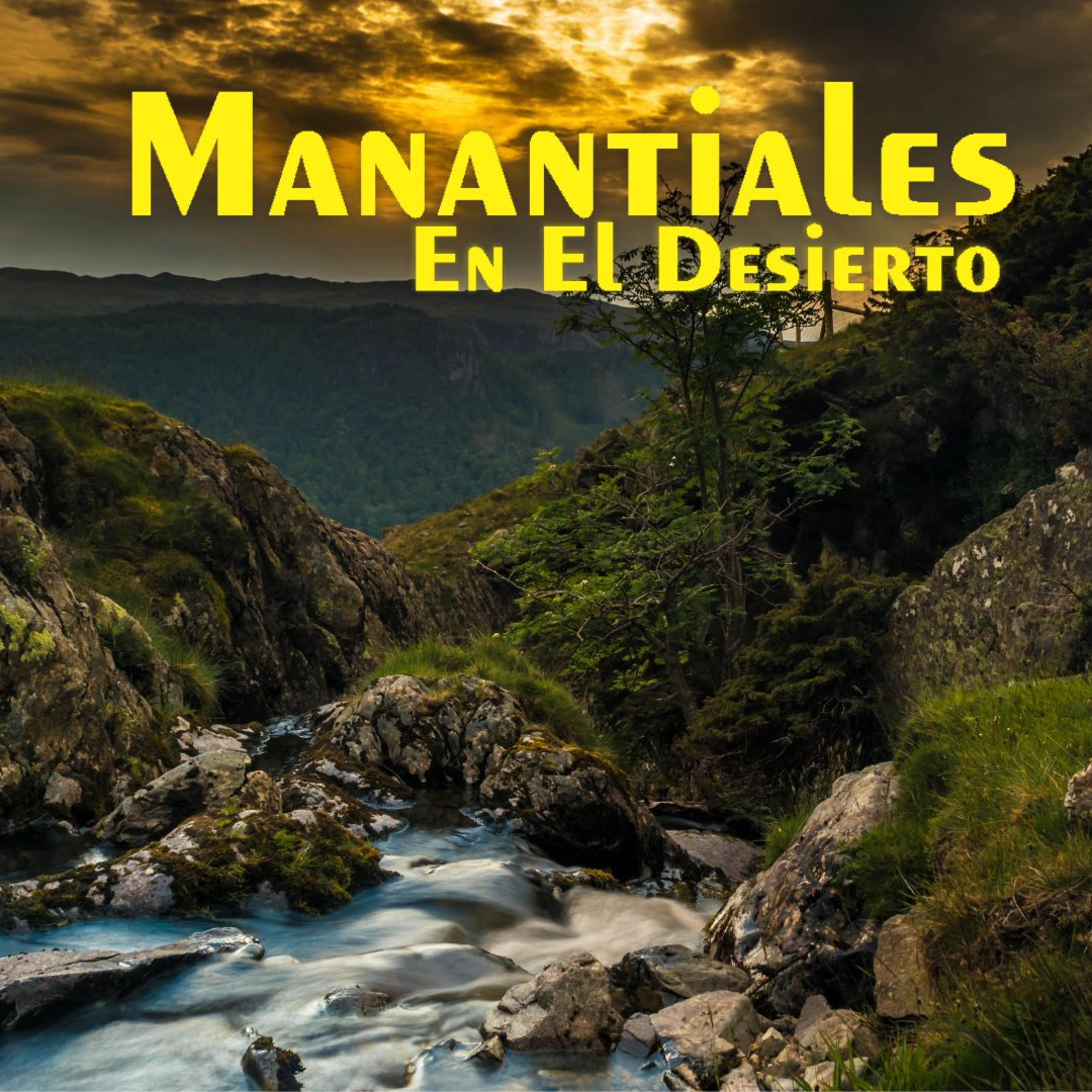 Manantiales en el Desierto - 10 de Julio