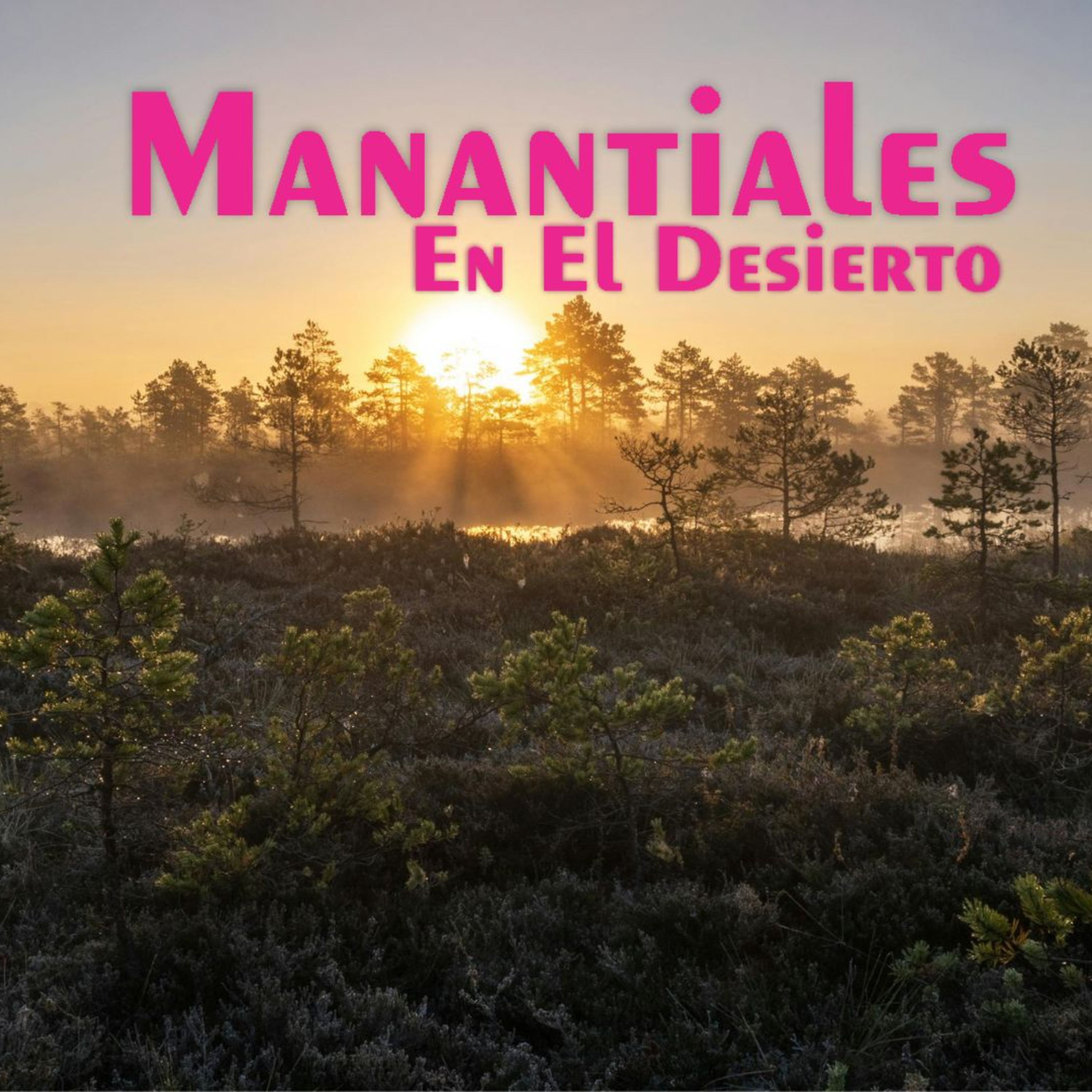 Manantiales en el Desierto - 12 de Julio