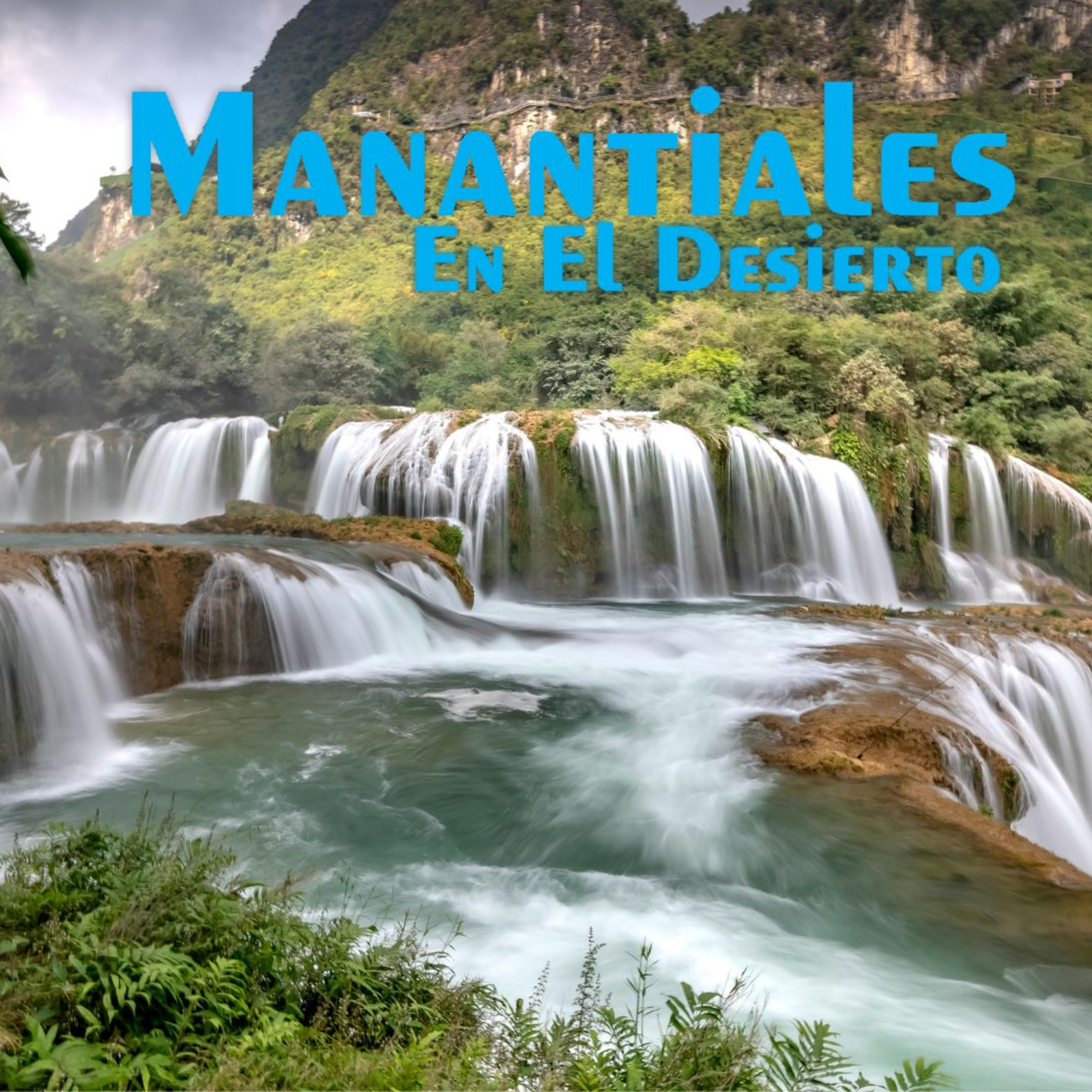 Manantiales en el Desierto - 13 de Julio