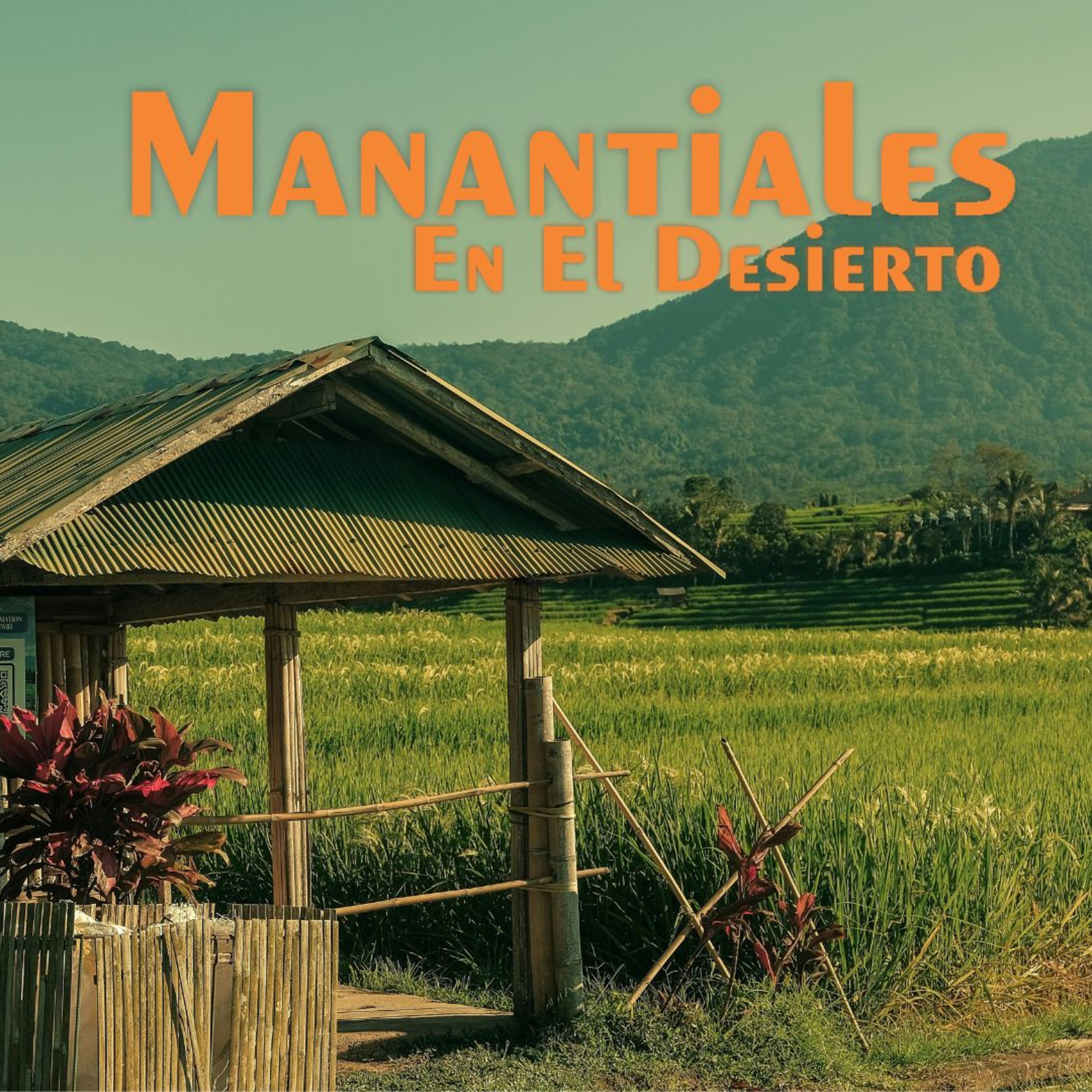 Manantiales en el Desierto - 14 de Julio