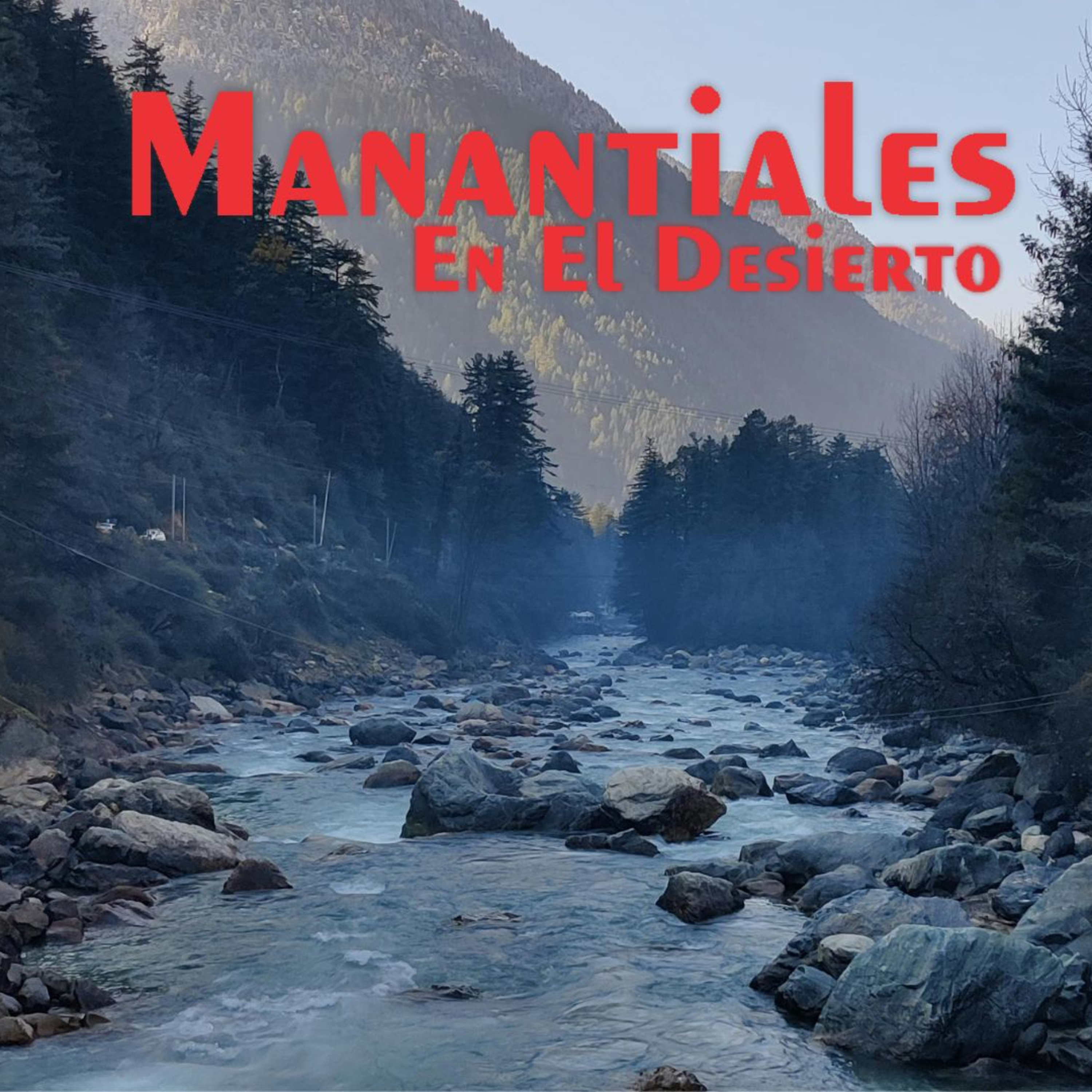 Manantiales en el Desierto - 15 de Julio
