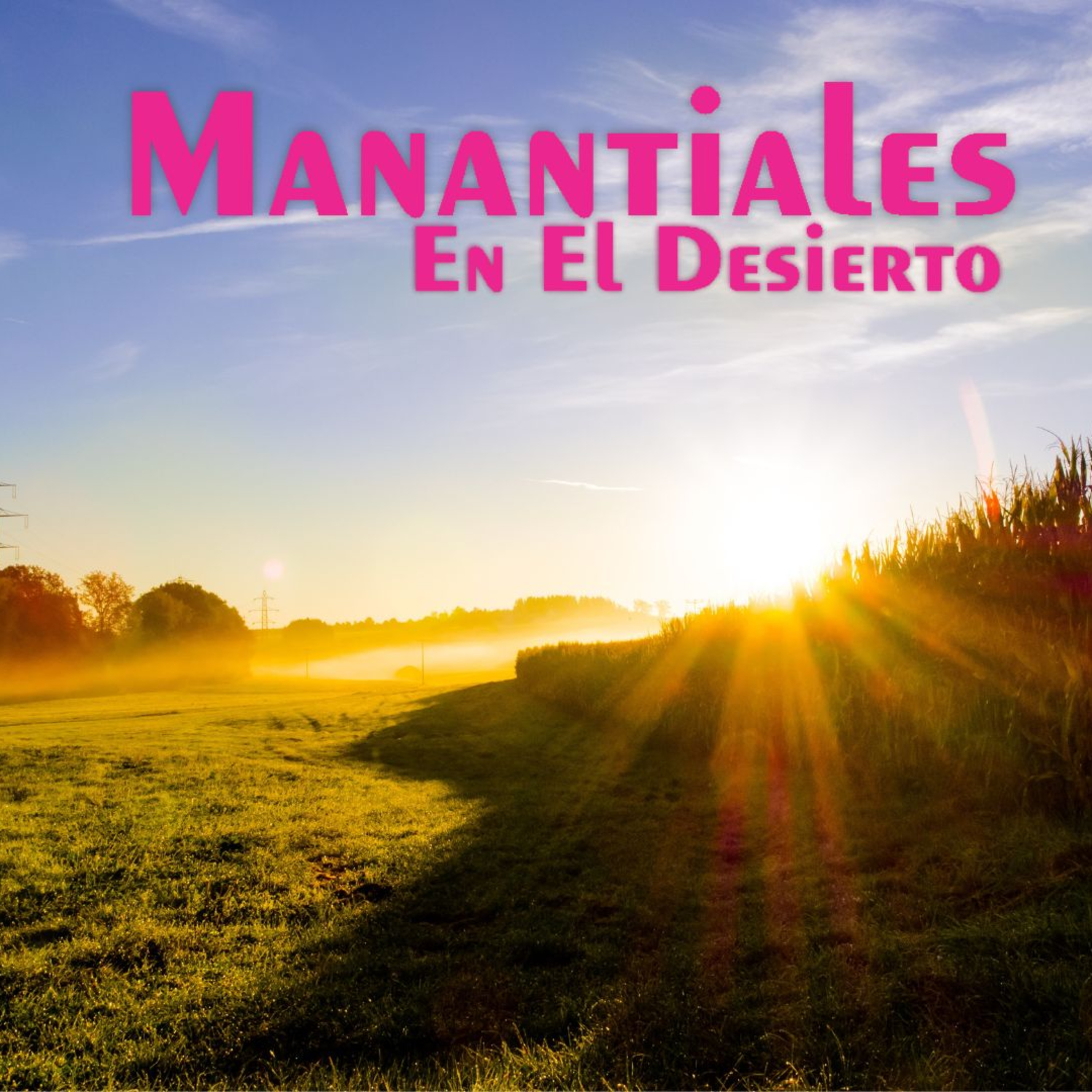 Manantiales en el Desierto - 21 de Julio