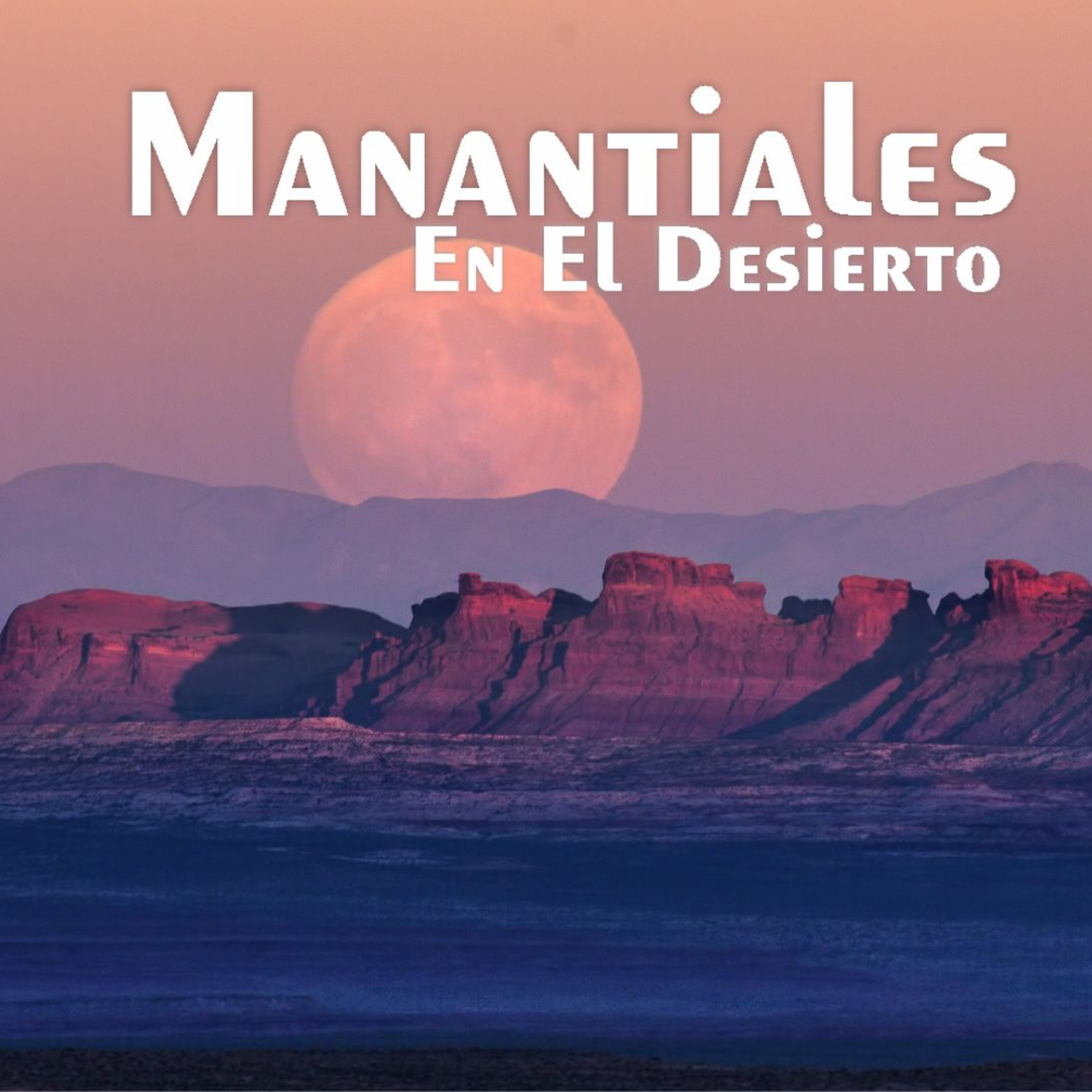 Manantiales en el Desierto - 23 de Julio