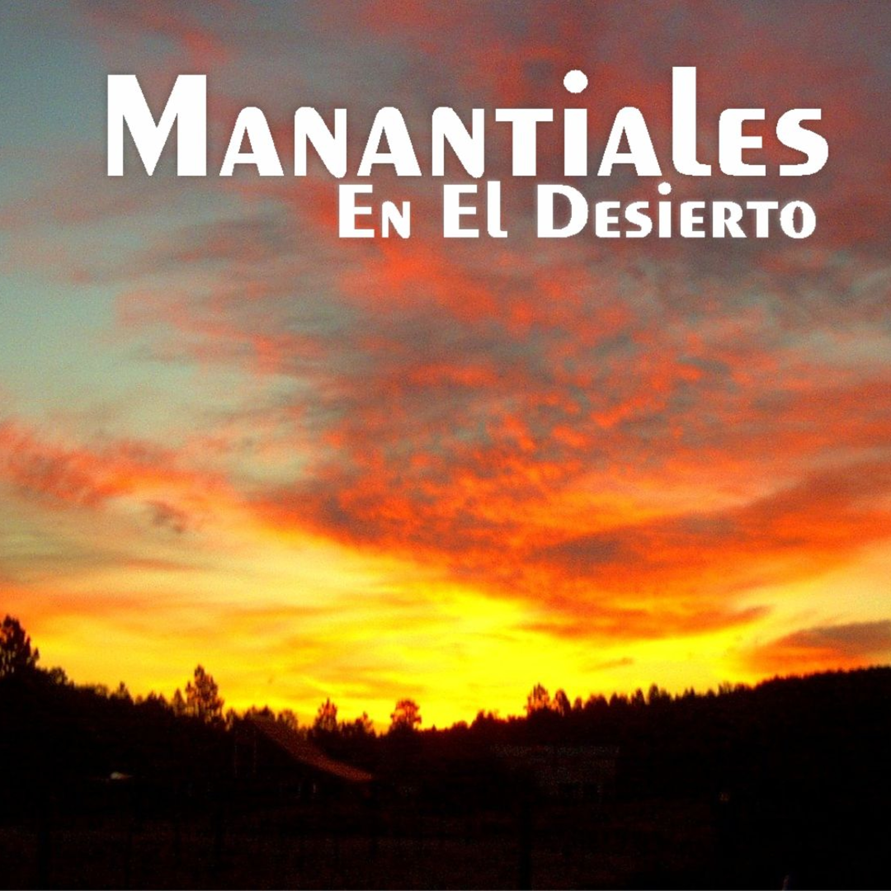 Manantiales en el Desierto - 25 de Julio