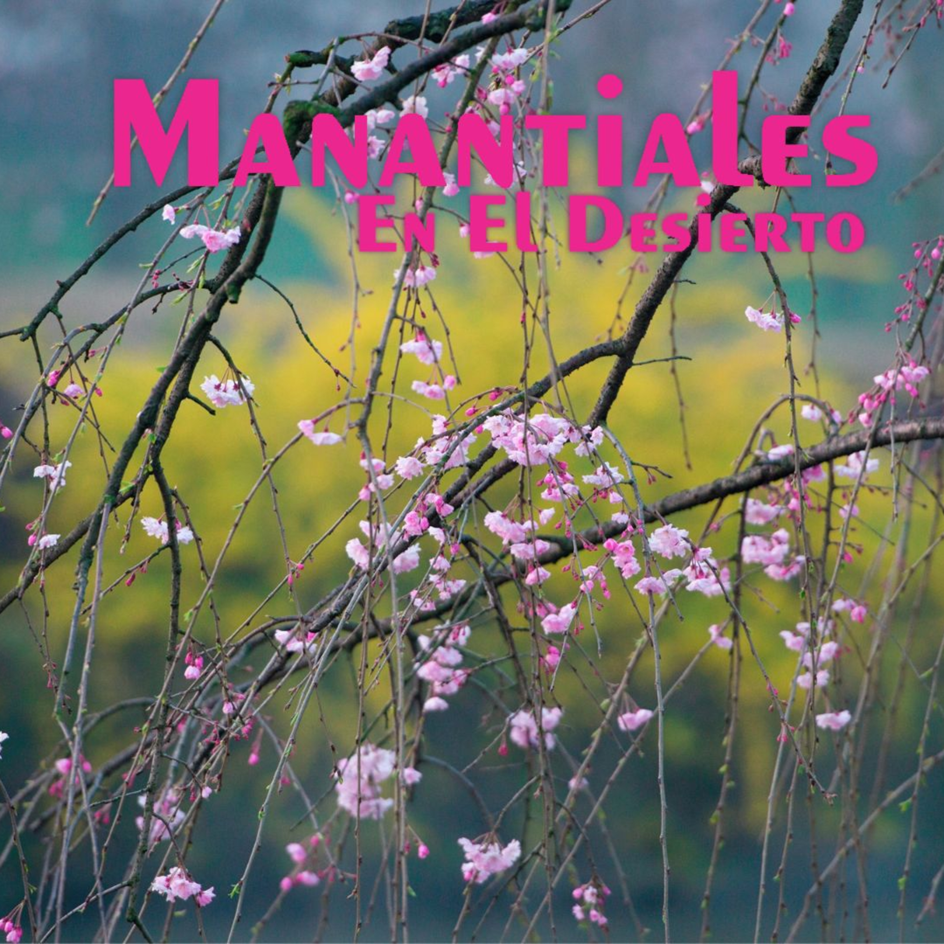 Manantiales en el Desierto - 26 de Julio