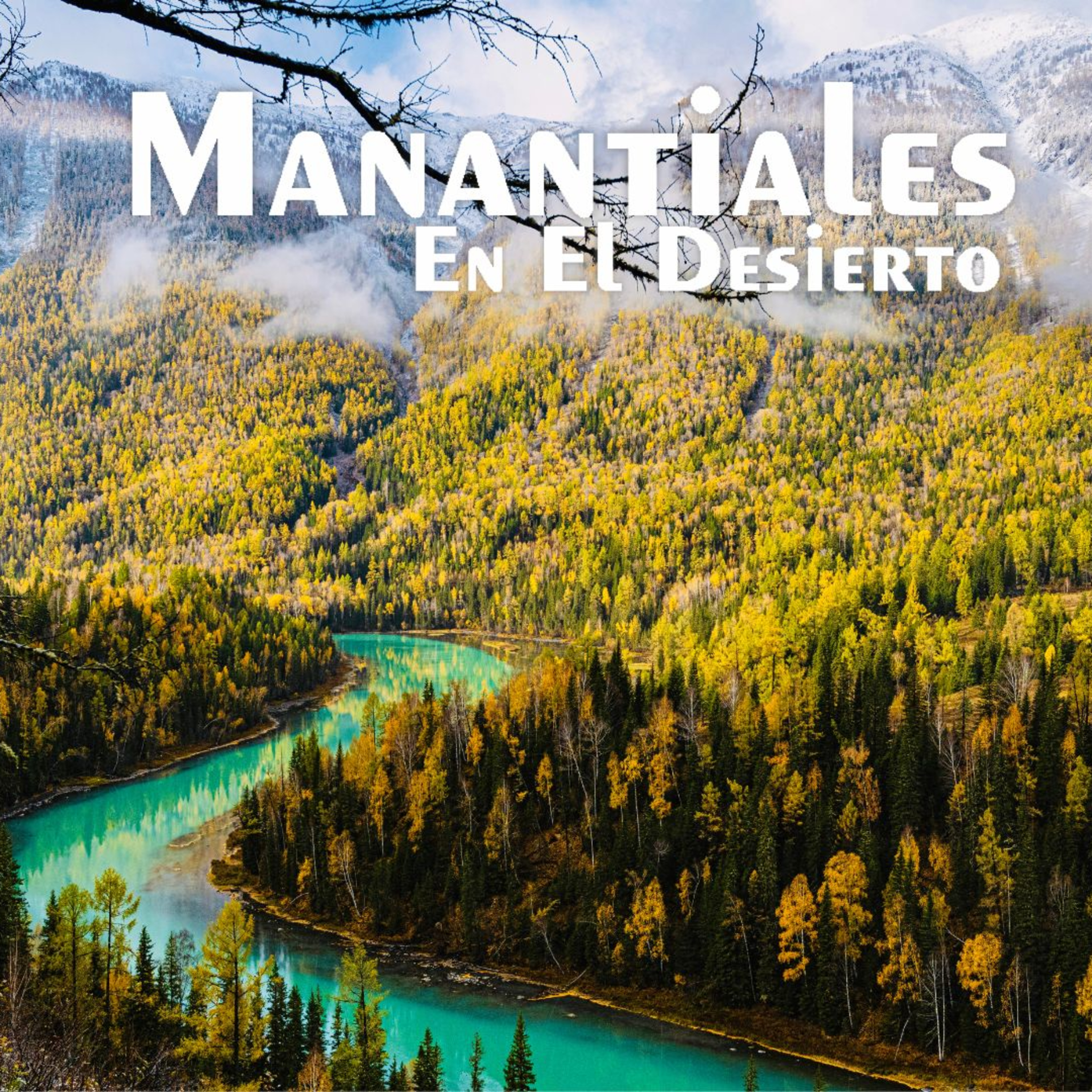 Manantiales en el Desierto - 27 de Julio