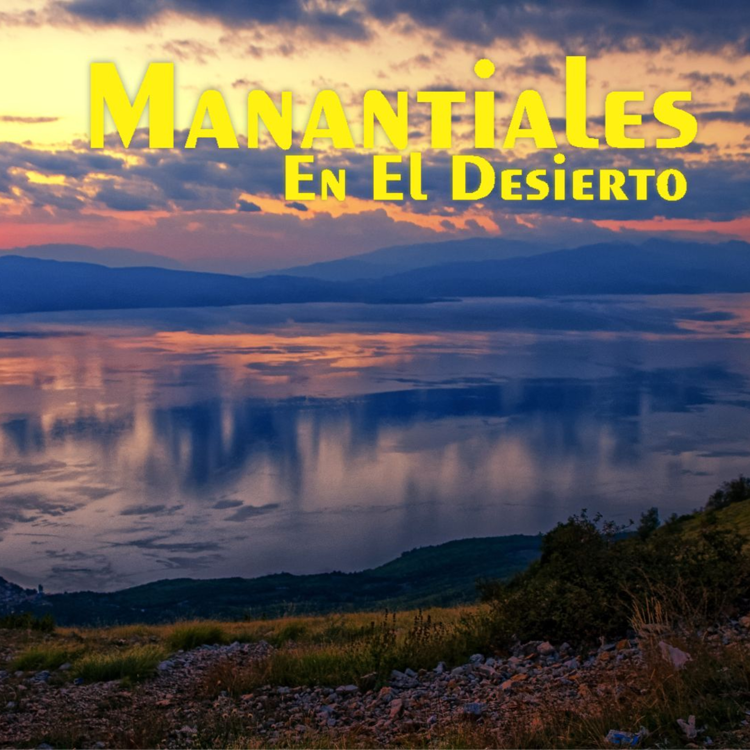 Manantiales en el Desierto - 28 de Julio