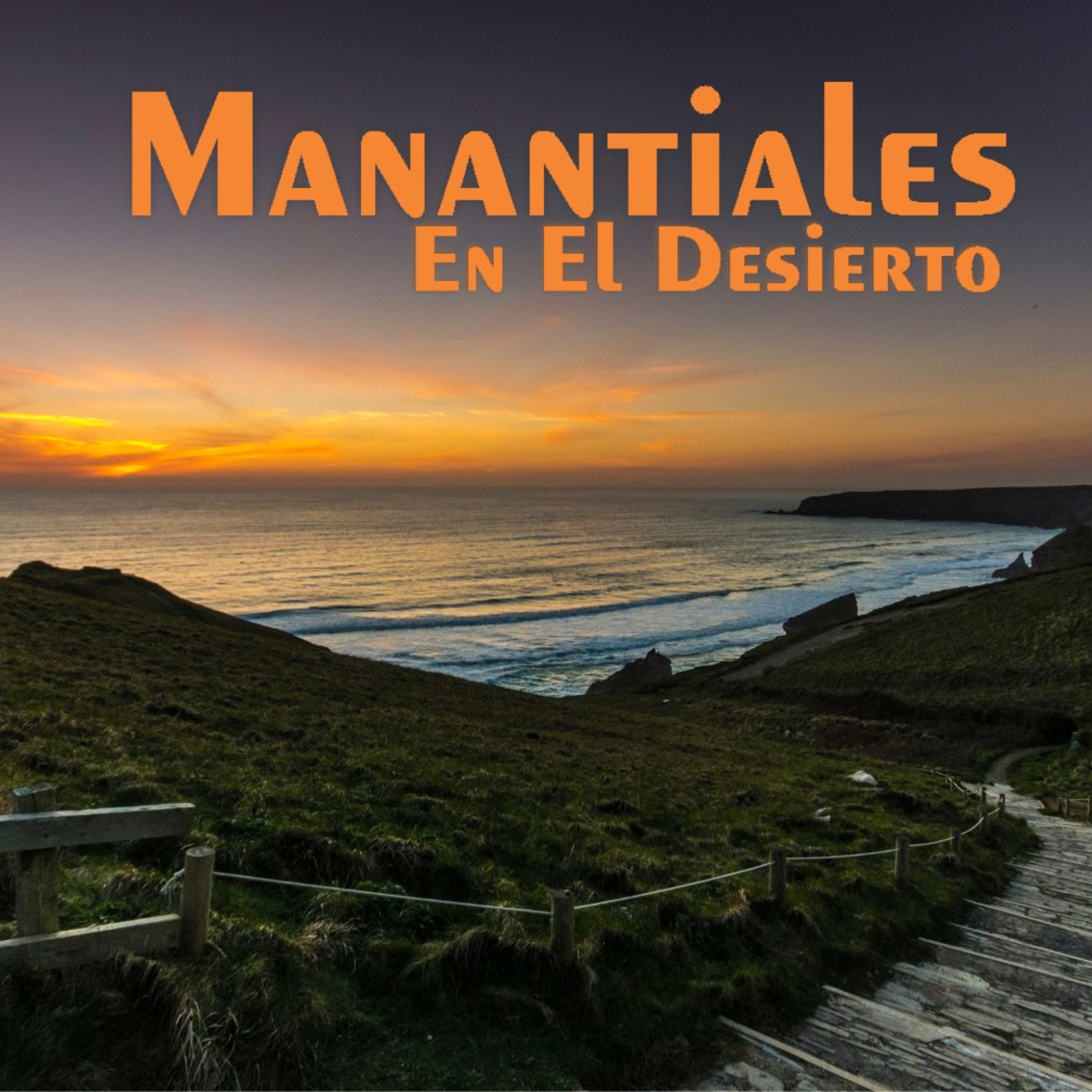 Manantiales en el Desierto - 29 de Julio