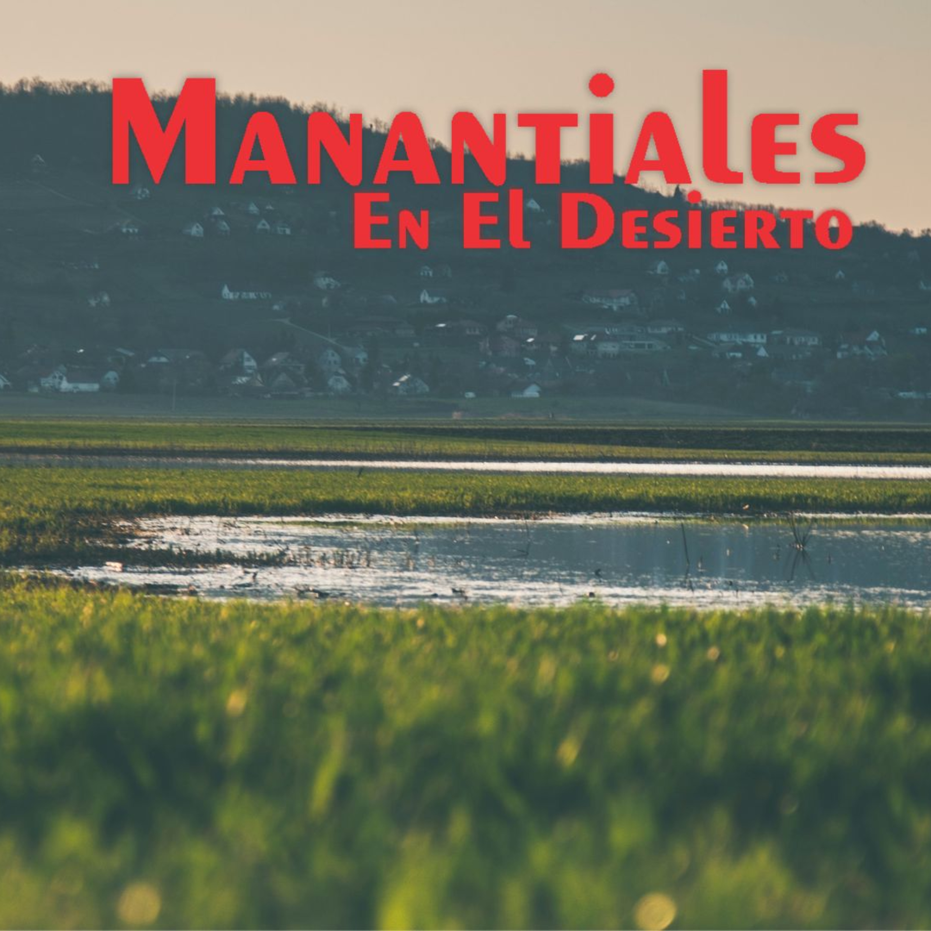 Manantiales en el Desierto - 1 de Agosto