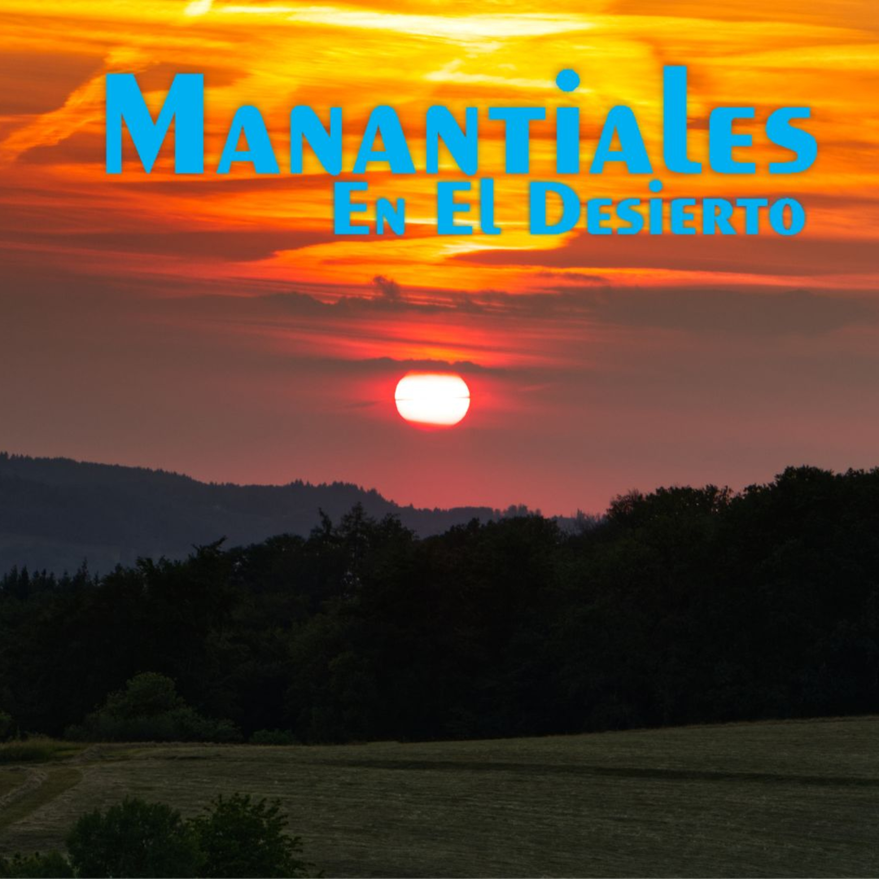 Manantiales en el Desierto - 4 de Agosto