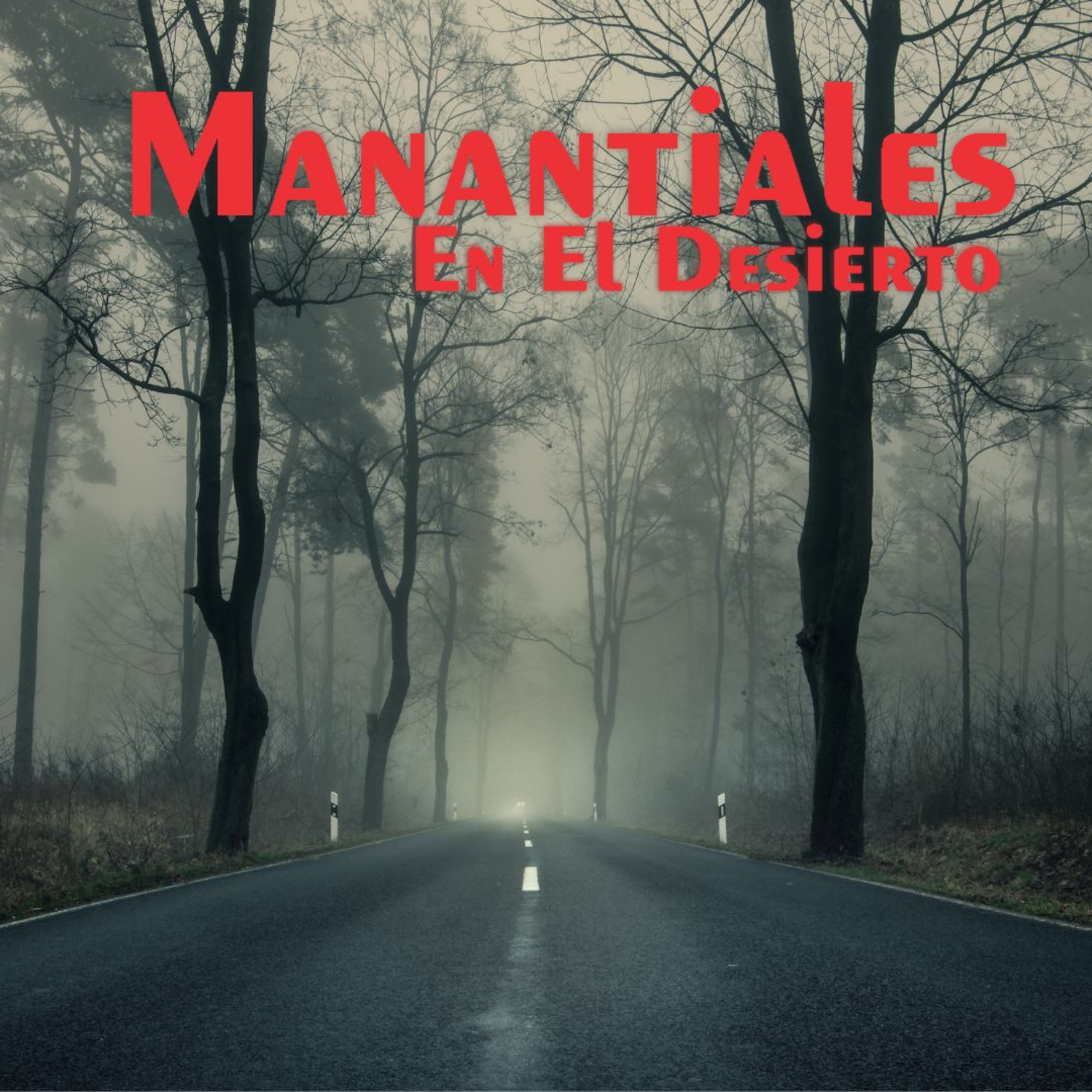 Manantiales en el Desierto - 8 de Agosto