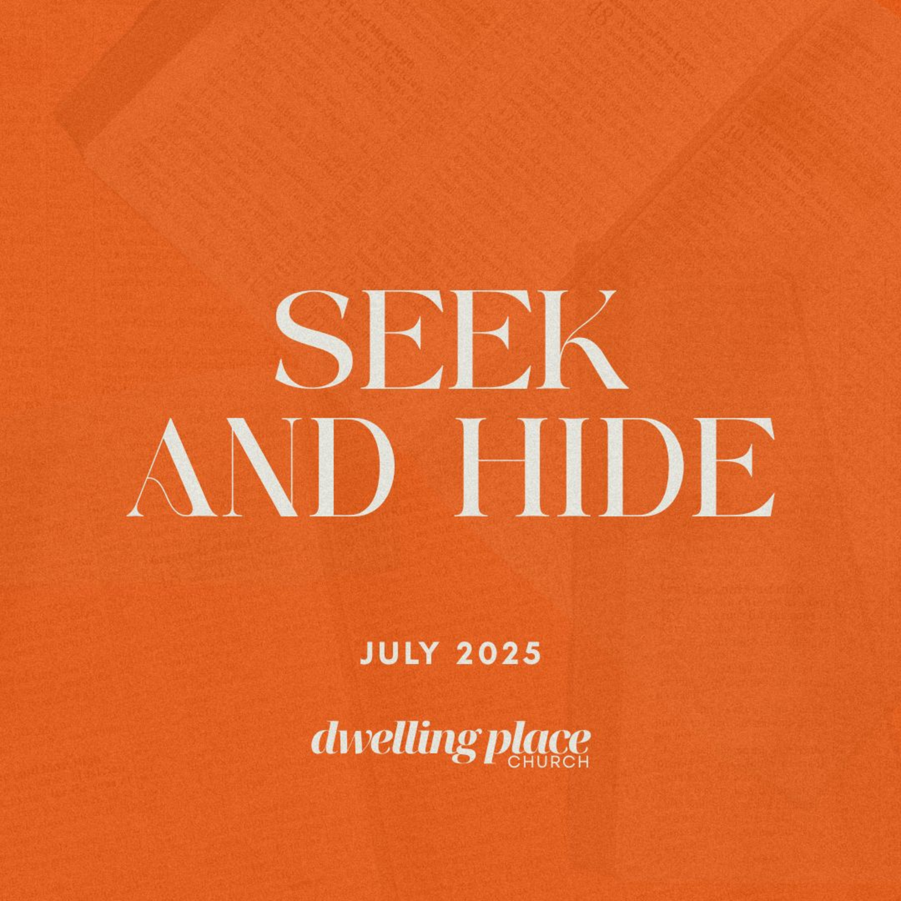 Seek and Hide episode artwork