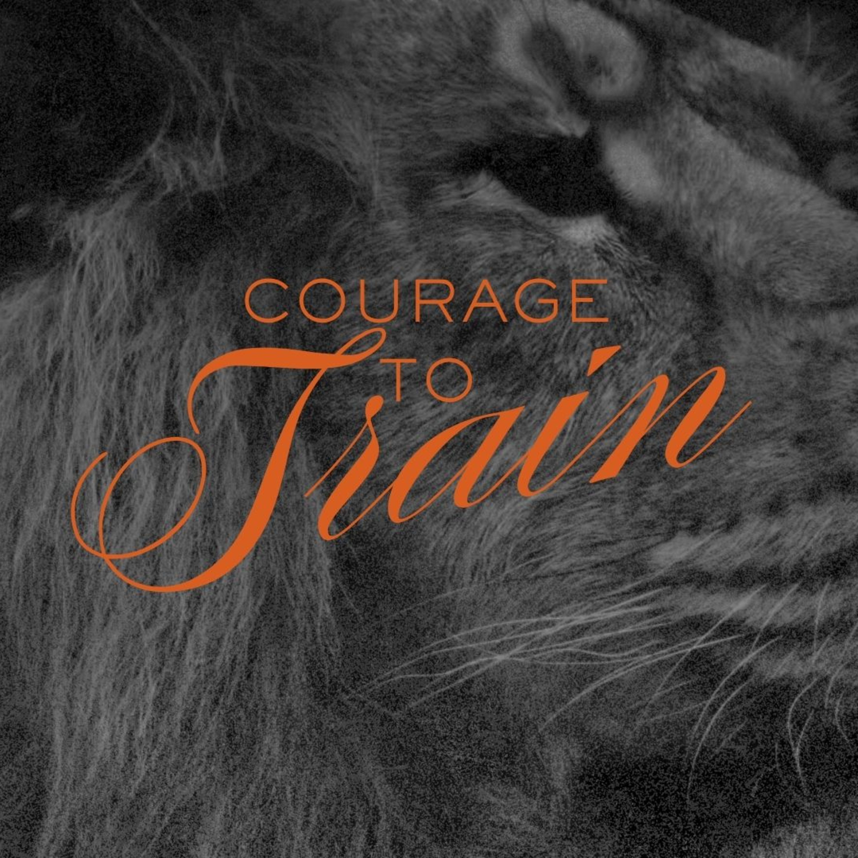 Courage to Train episode artwork