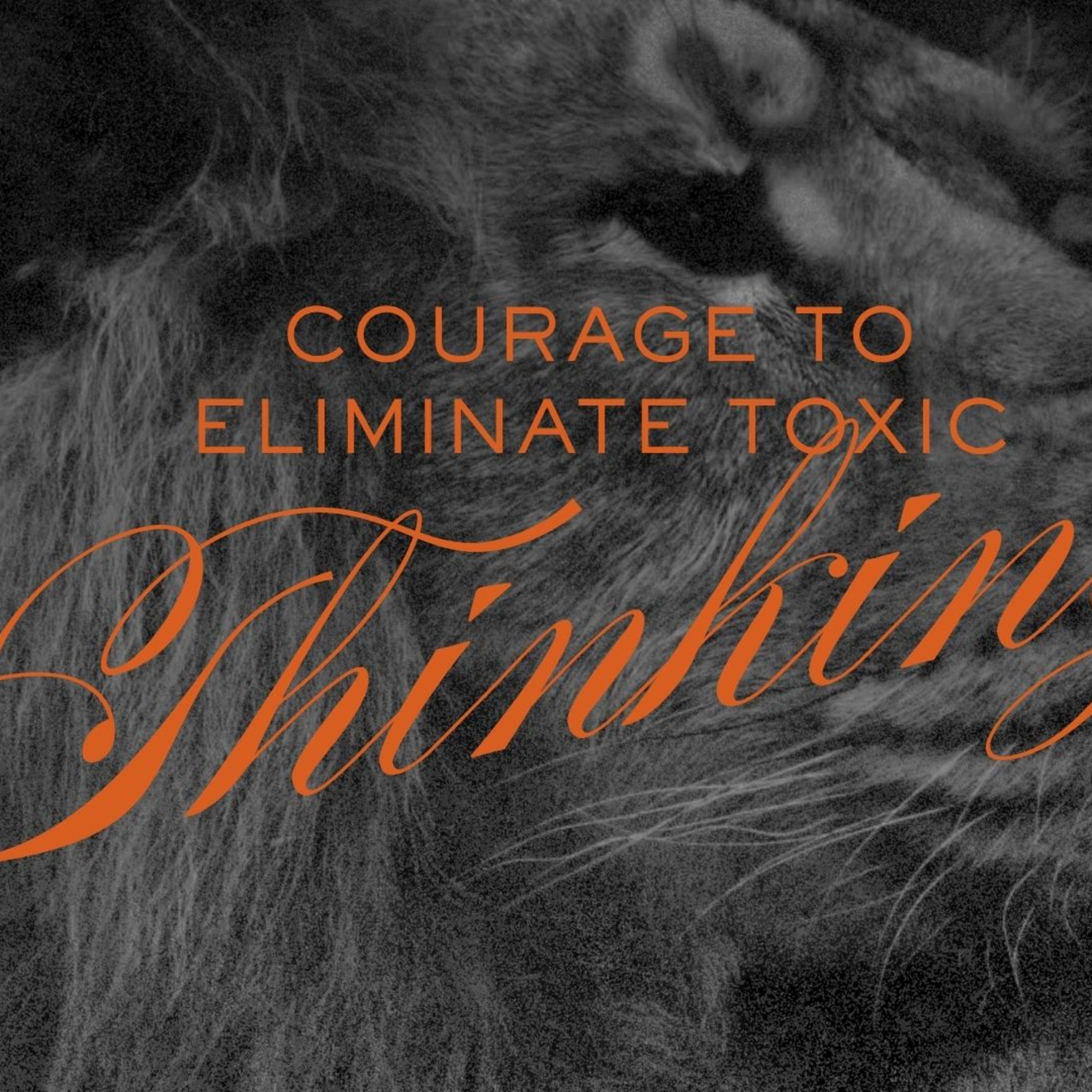 Courage to Eliminate Toxic Thinking episode artwork