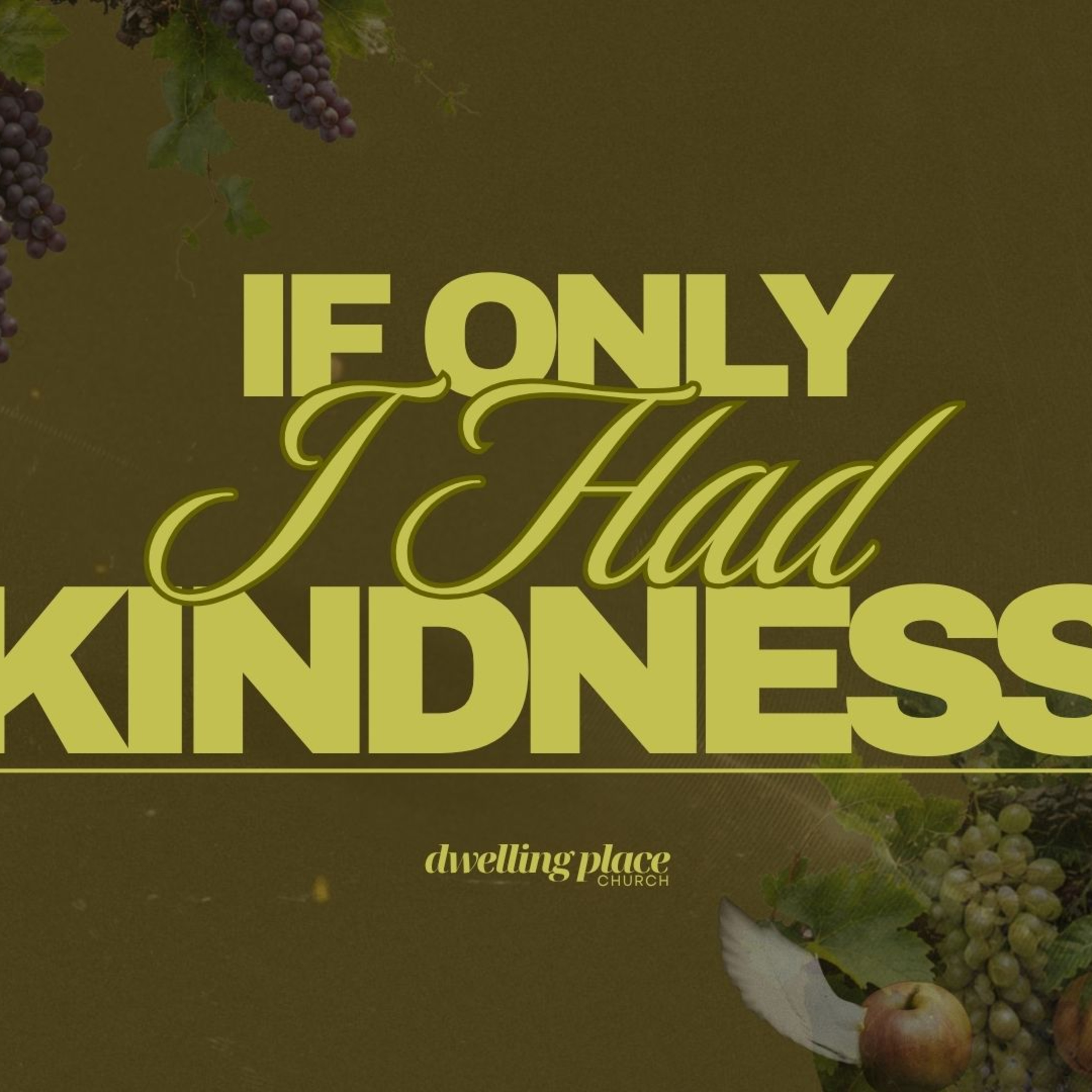 If Only I Had Kindness episode artwork