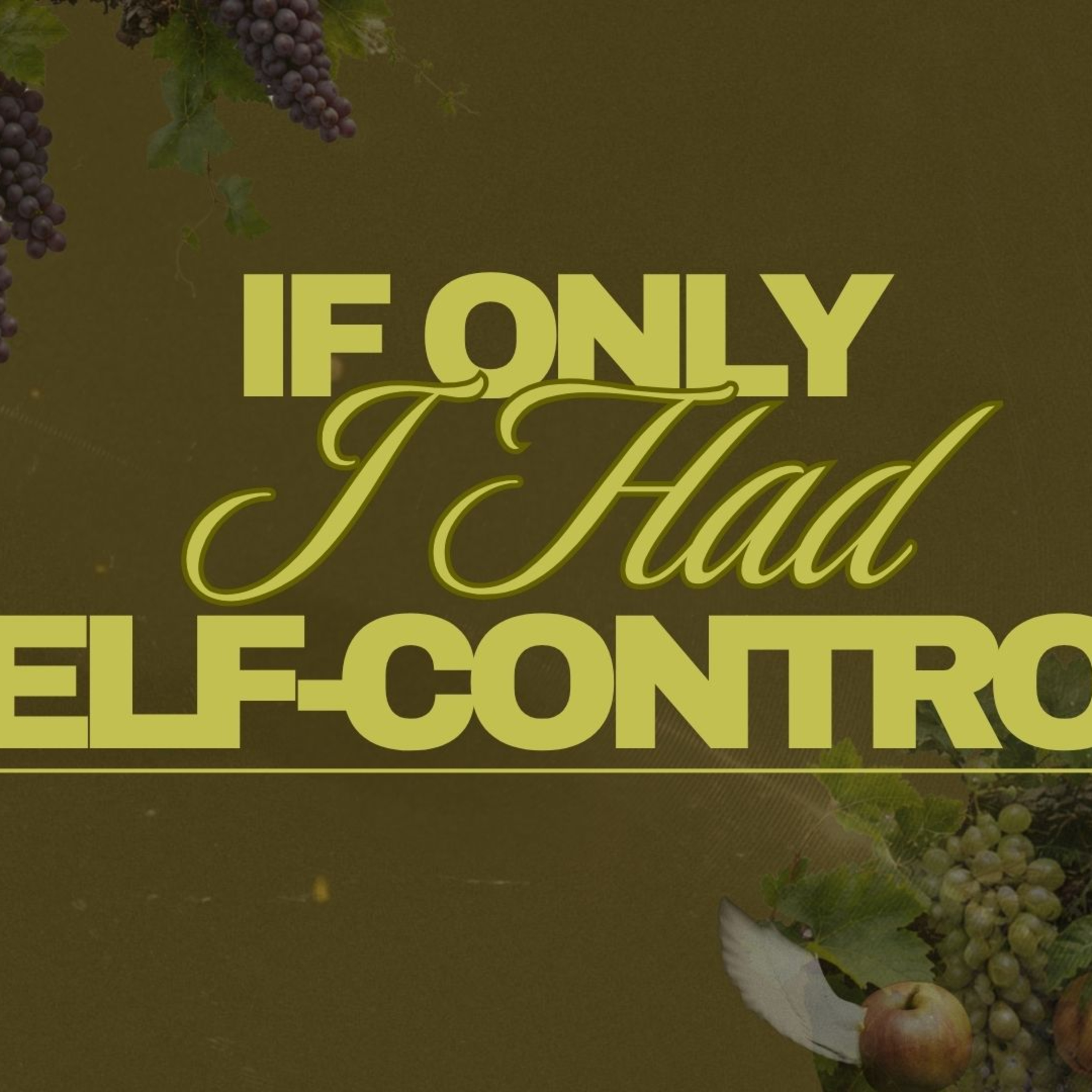 If Only I Had Self-Control episode artwork