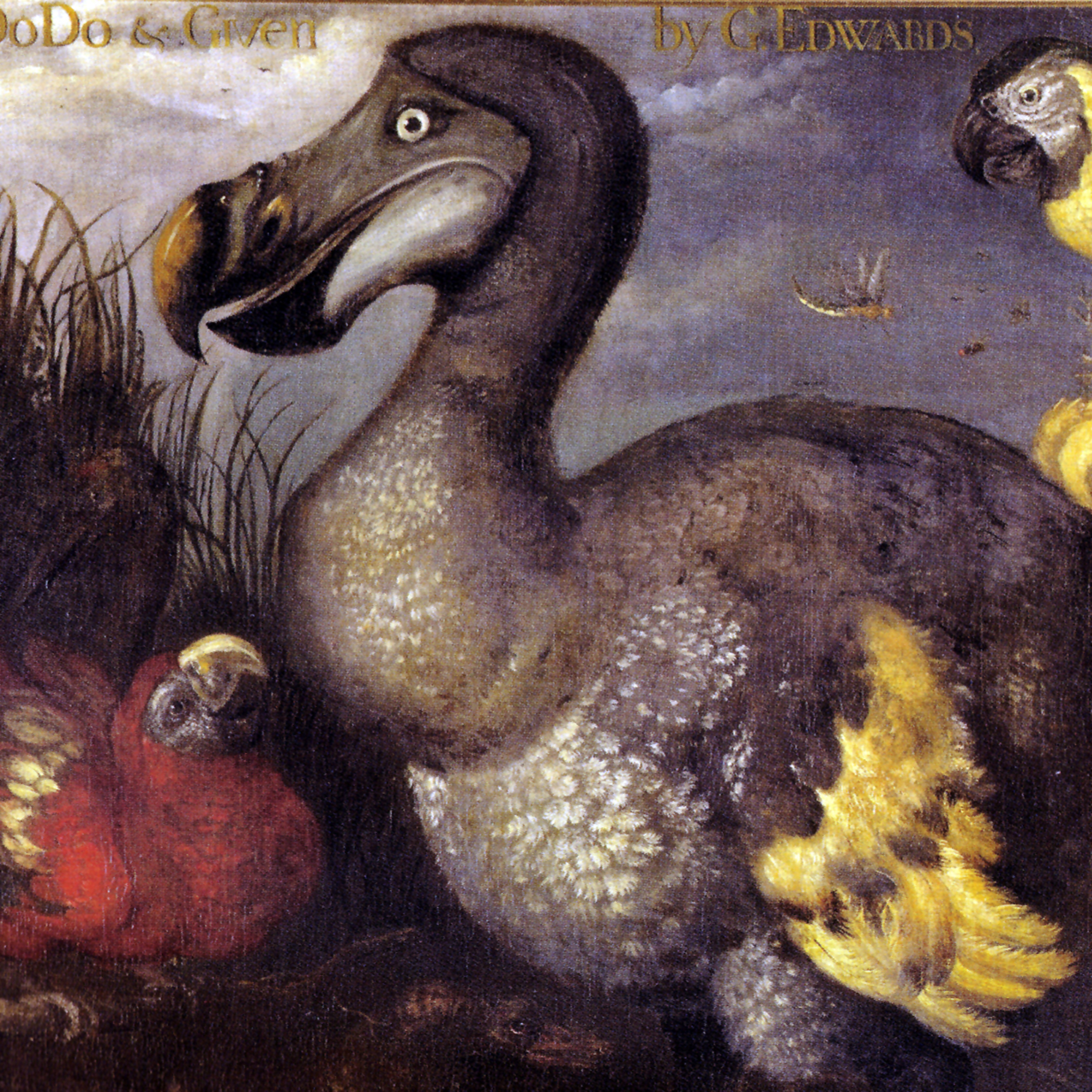 Costa Discordia | 78. Benaltristi si nasce o si diventa? episode artwork