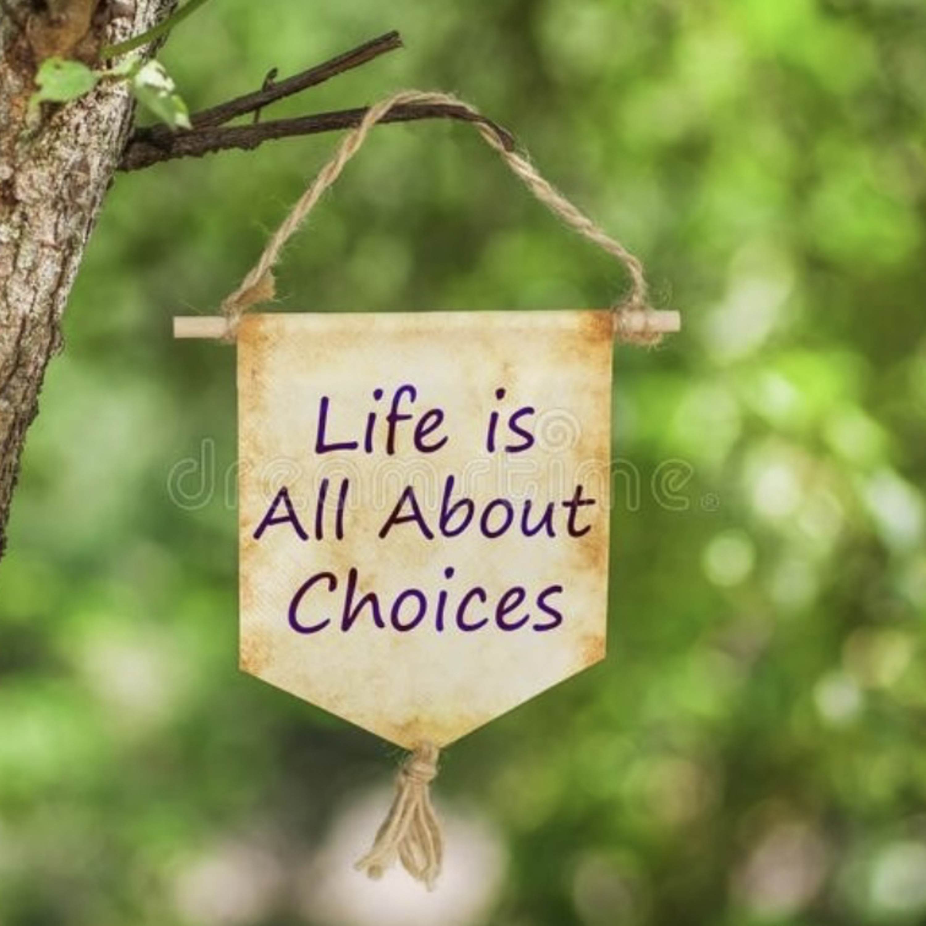 Life Choices  episode artwork