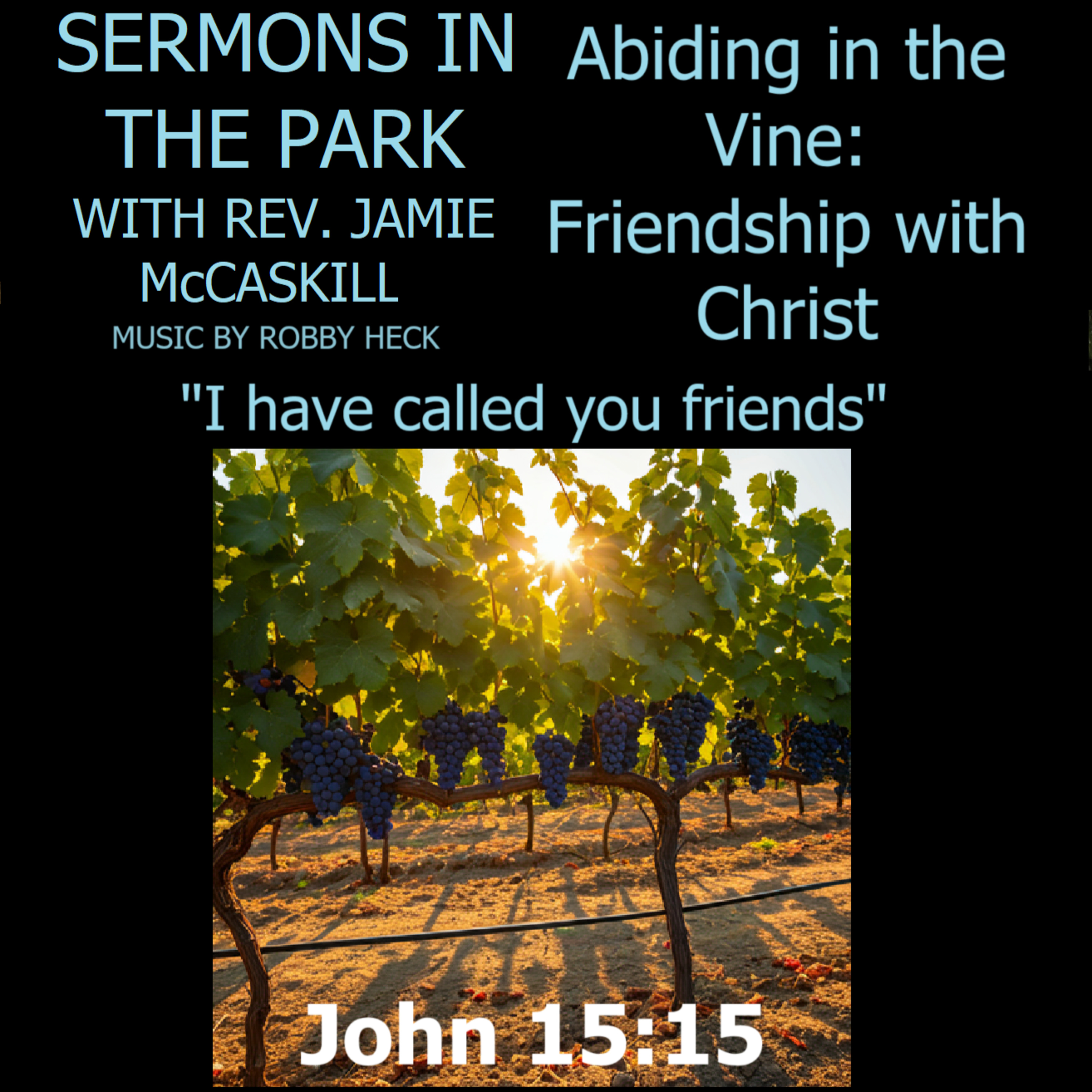 Sermons in the Park