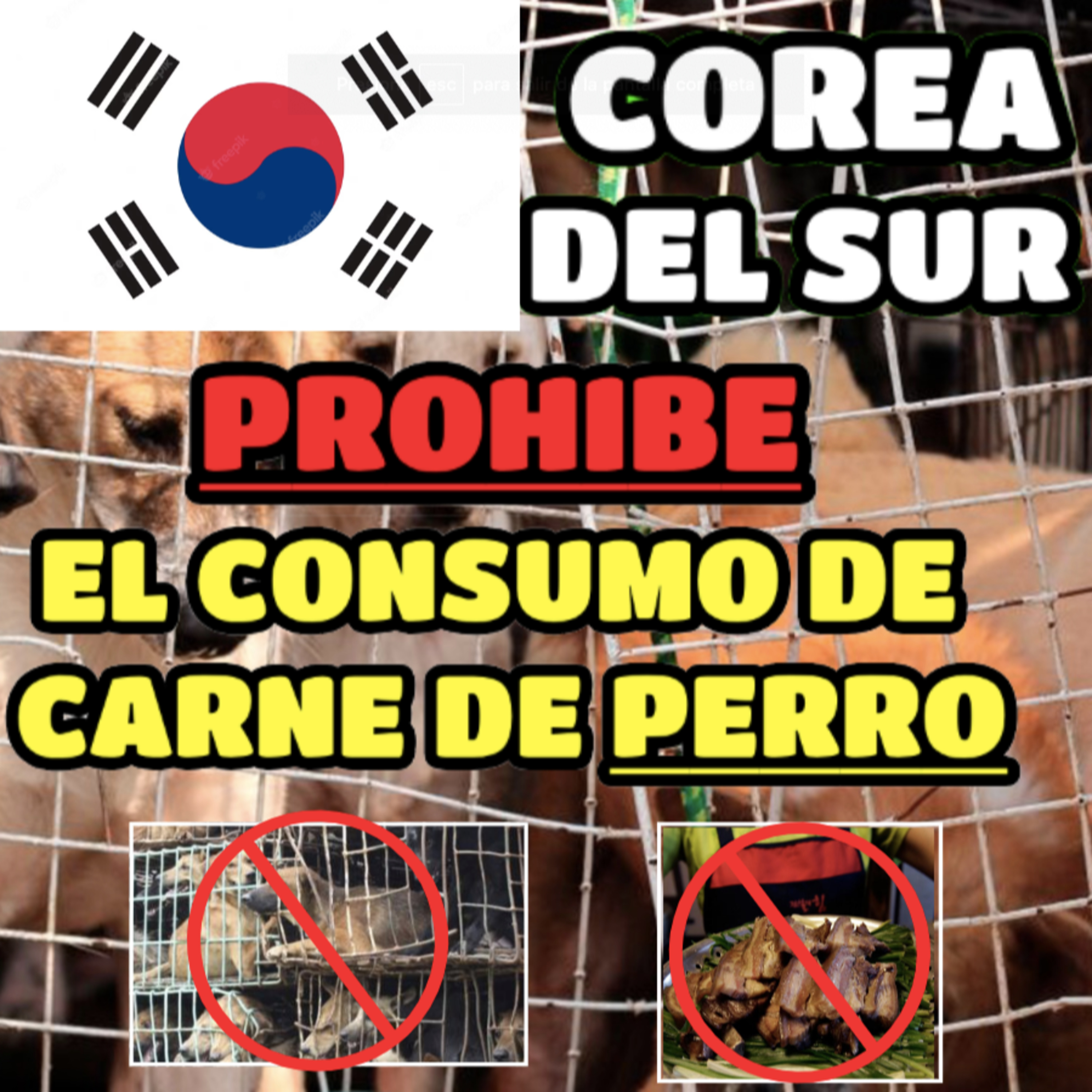 Noticias de animales | La Cucaracha en tu Oreja