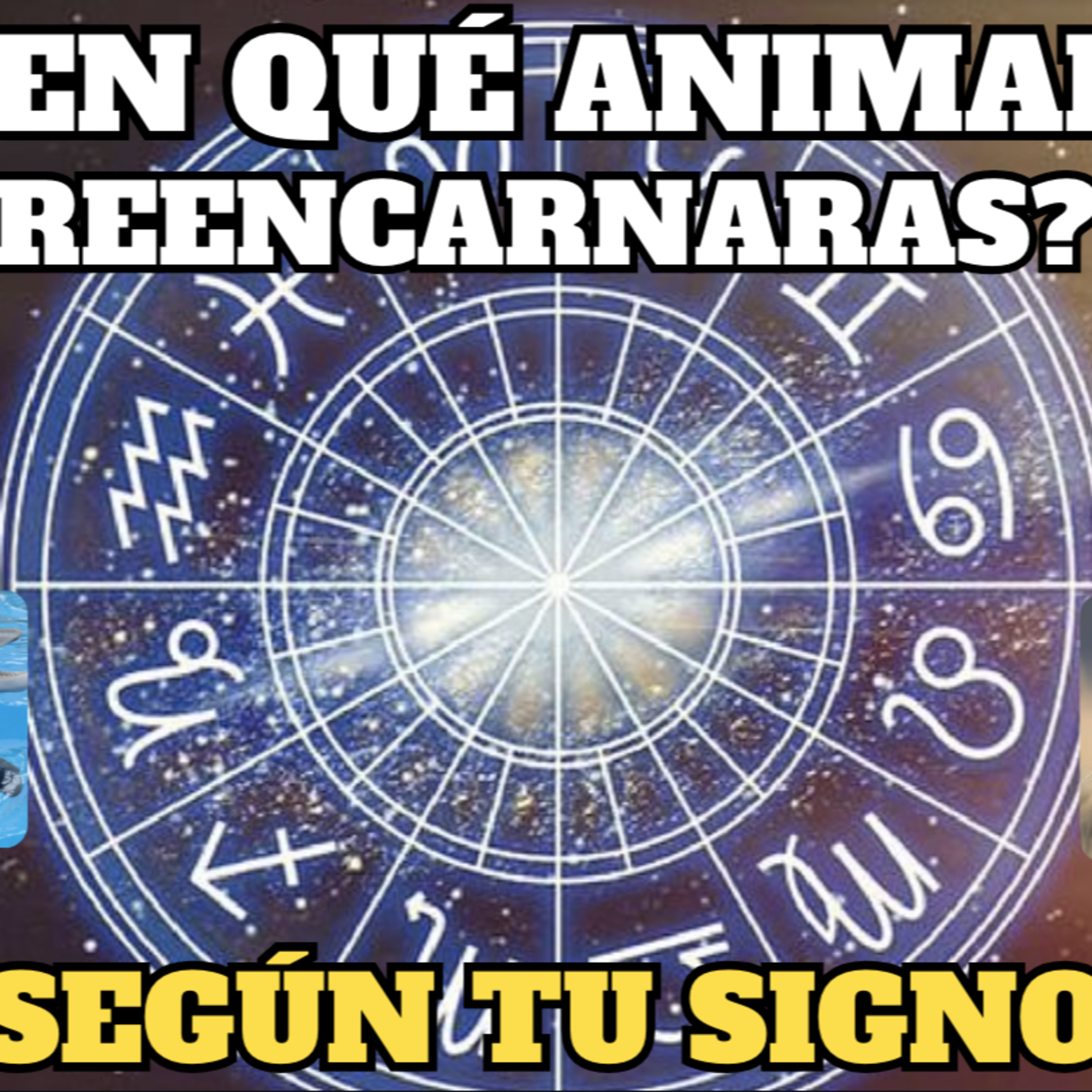 Noticias de animales | La Cucaracha en tu Oreja