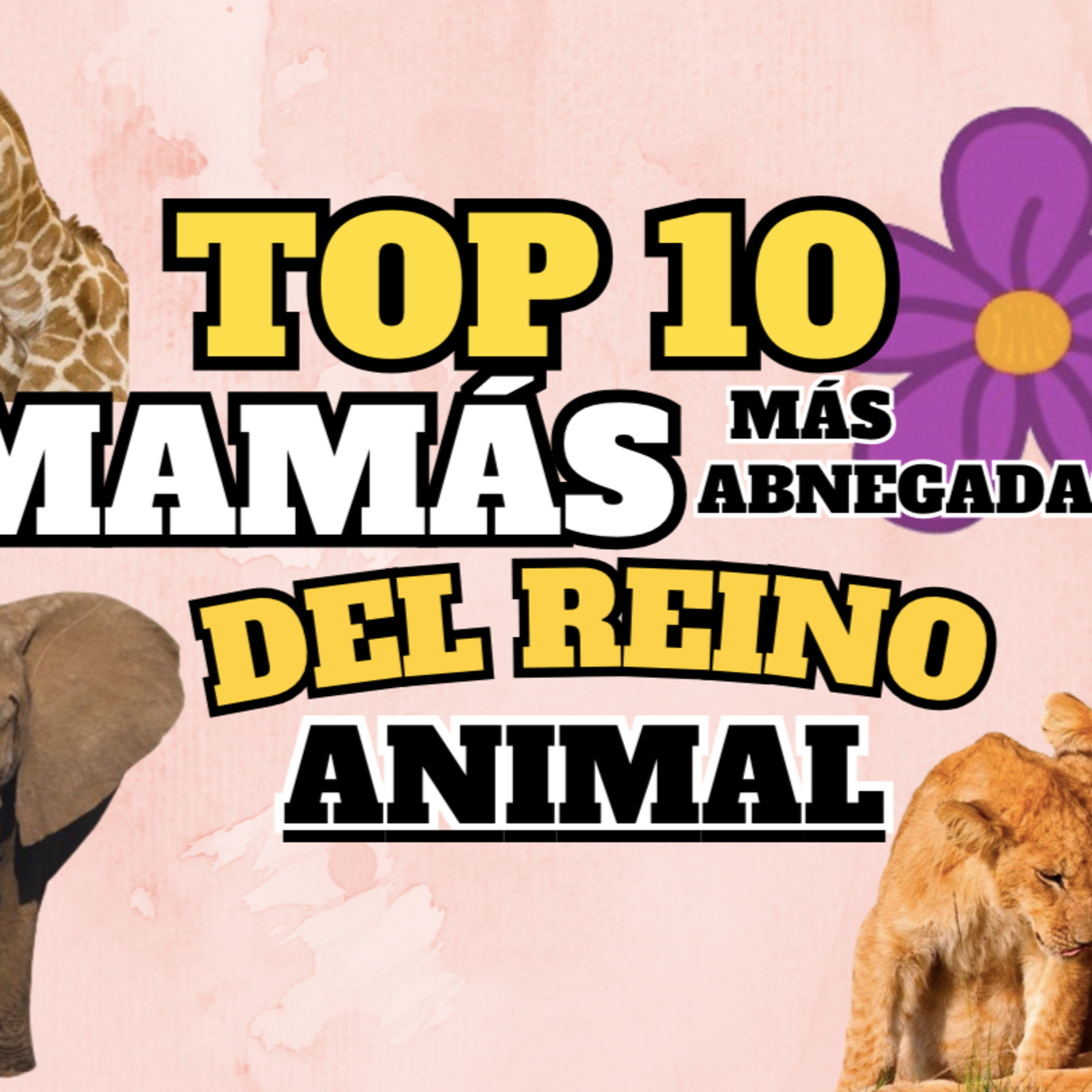 Noticias de animales | La Cucaracha en tu Oreja