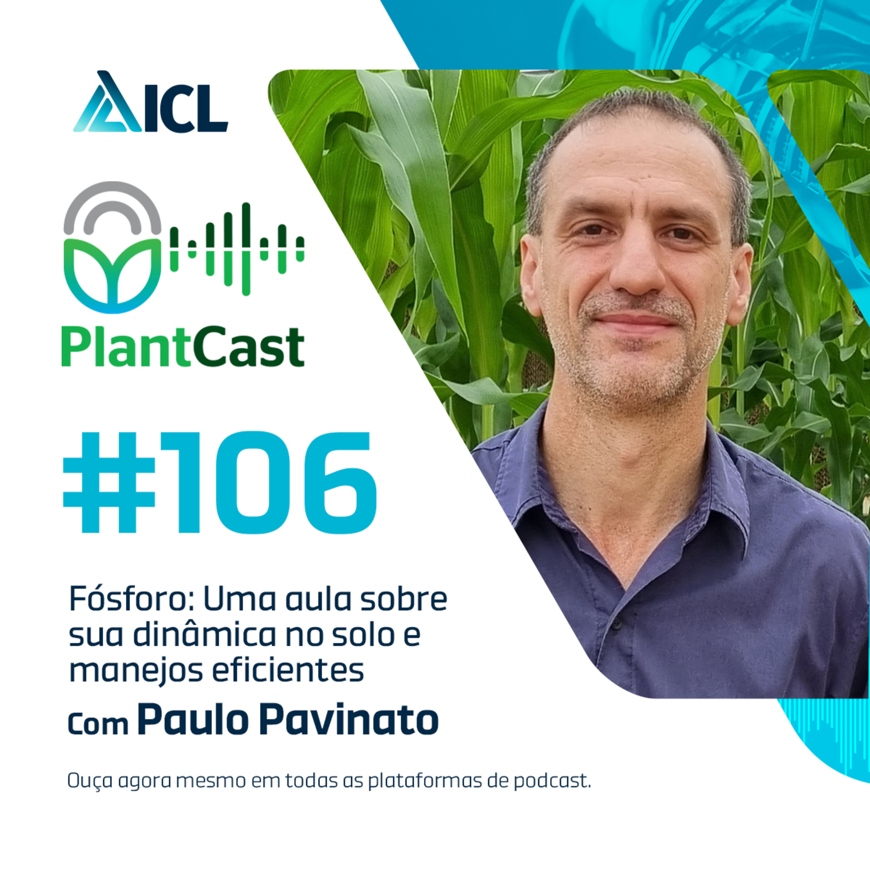 Plantcast #106 Fósforo: Uma aula sobre sua dinâmica no solo e manejos eficientes