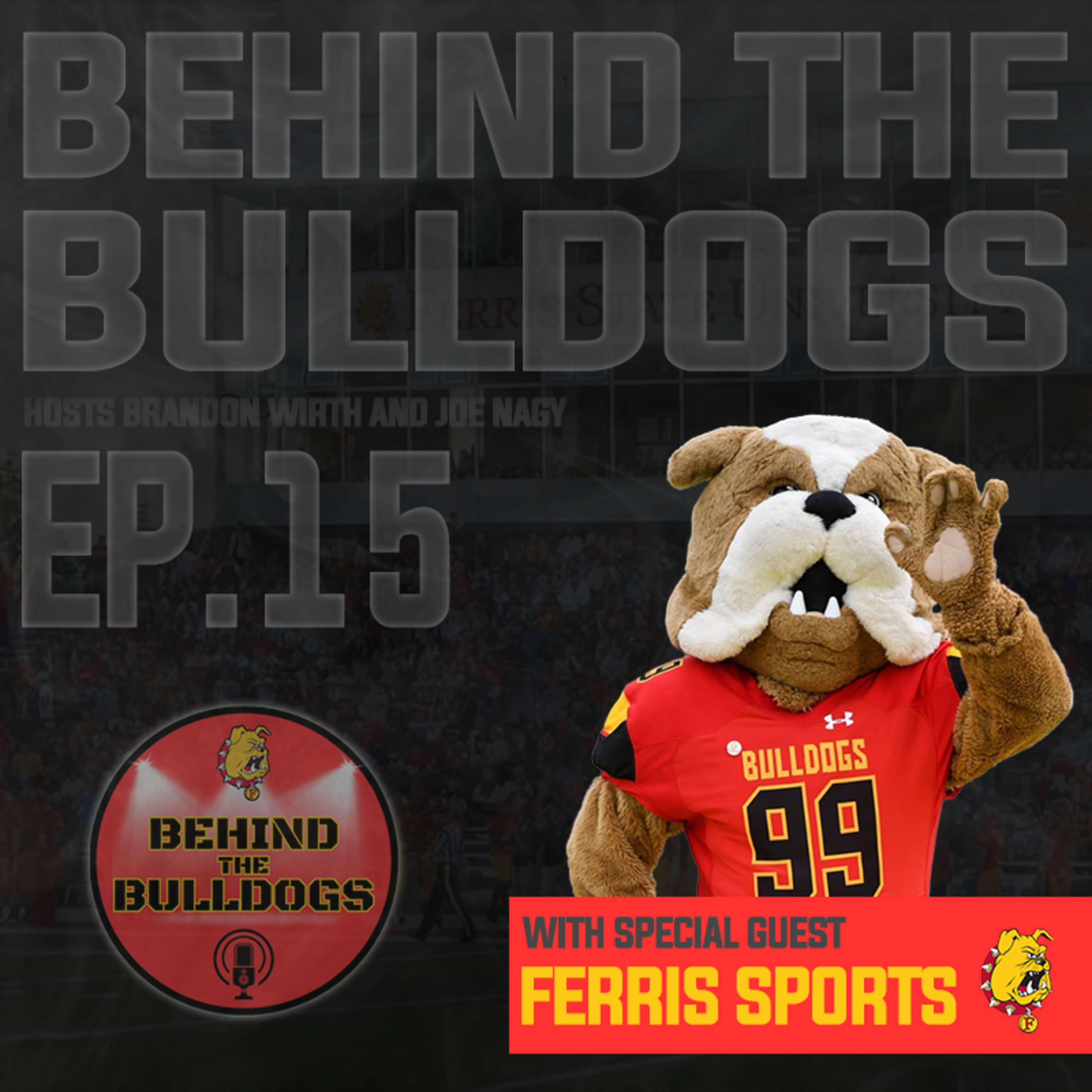 EP 15 - Full Fall & Early Winter Sports Review episode artwork