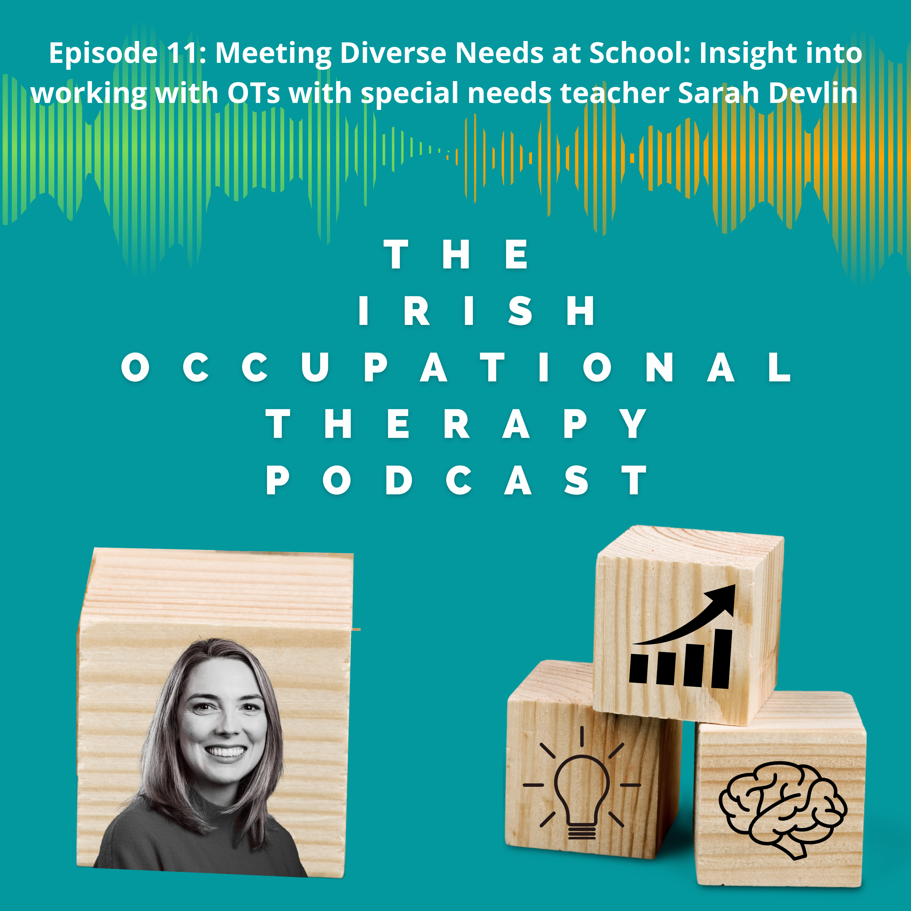 Meeting Diverse Needs at School: Insight into working with OTs with special needs teacher Sarah Devlin  episode artwork