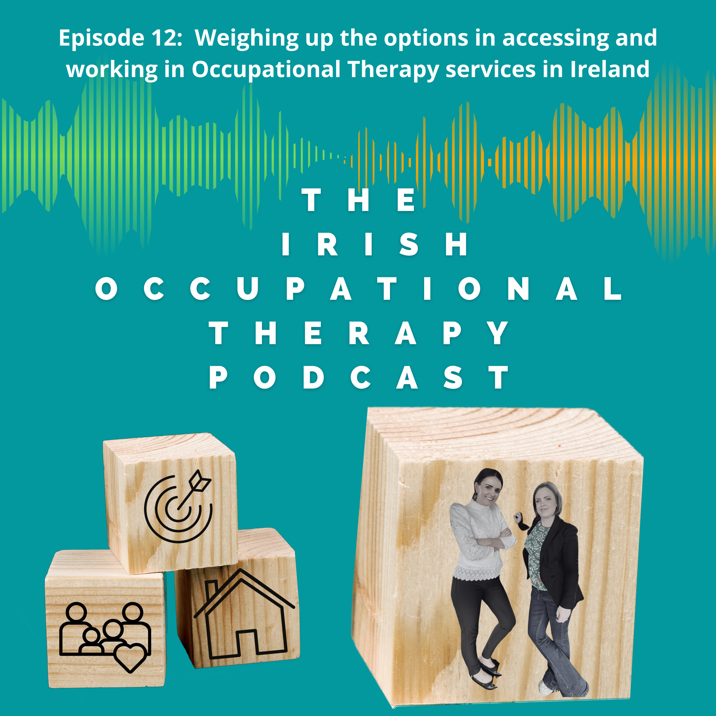 Weighing up the options in accessing and working in Occupational Therapy services in Ireland episode artwork